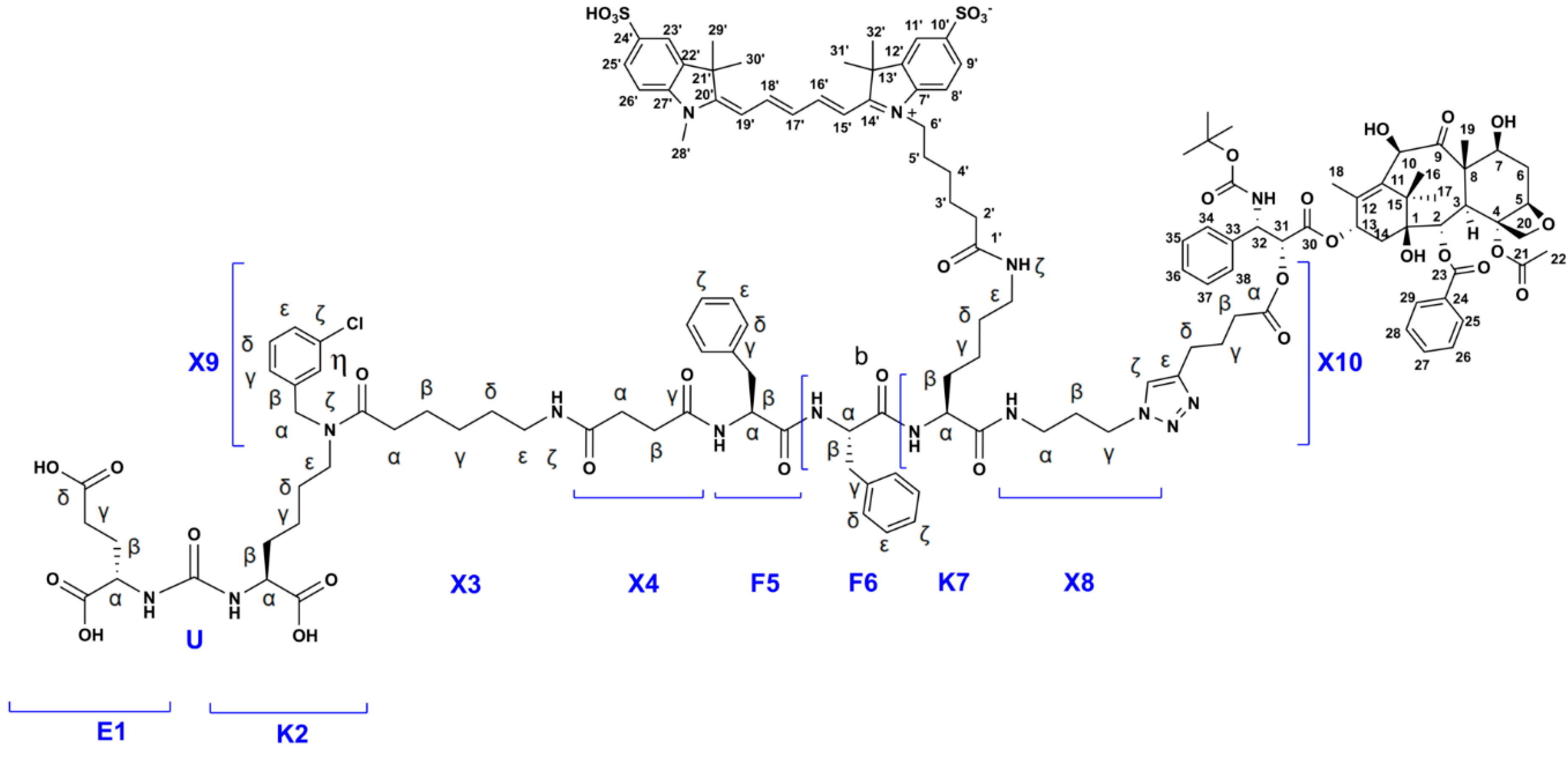 Molecules 25 05784 g004