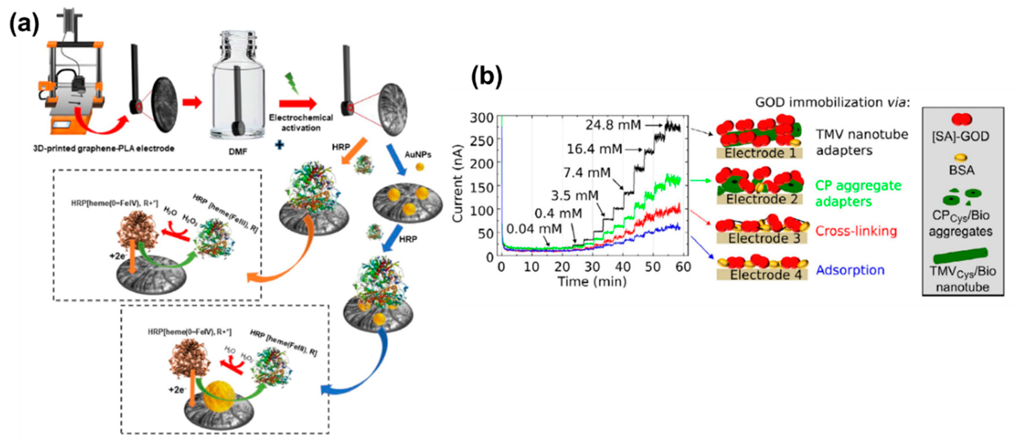 Molecules 25 05787 g003