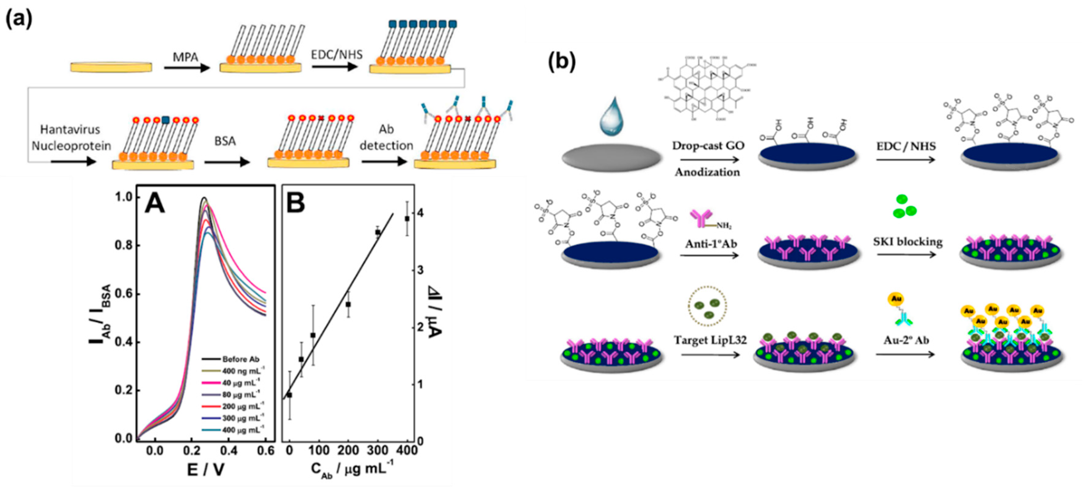 Molecules 25 05787 g005