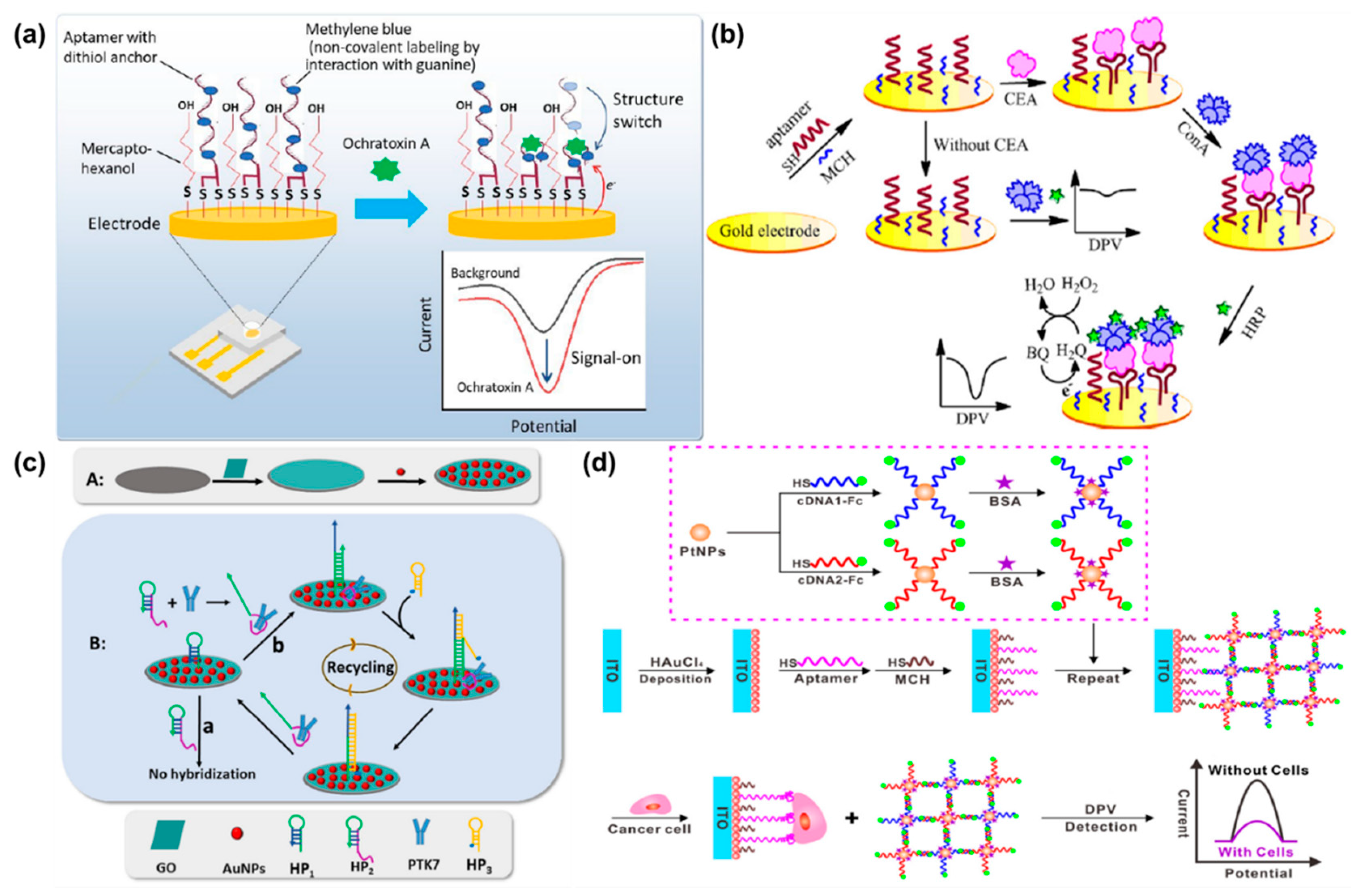 Molecules 25 05787 g006