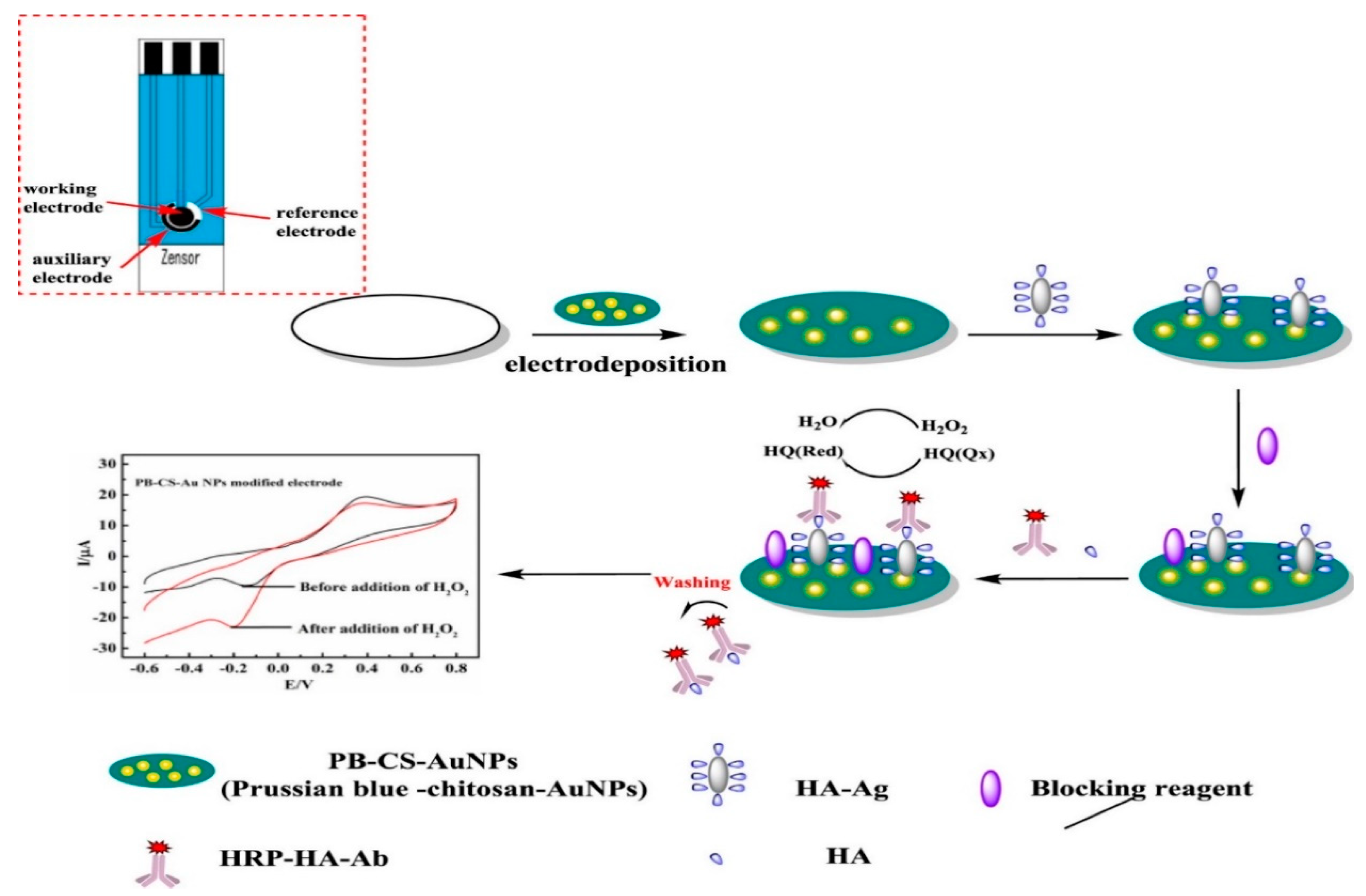 Molecules 25 05787 g008