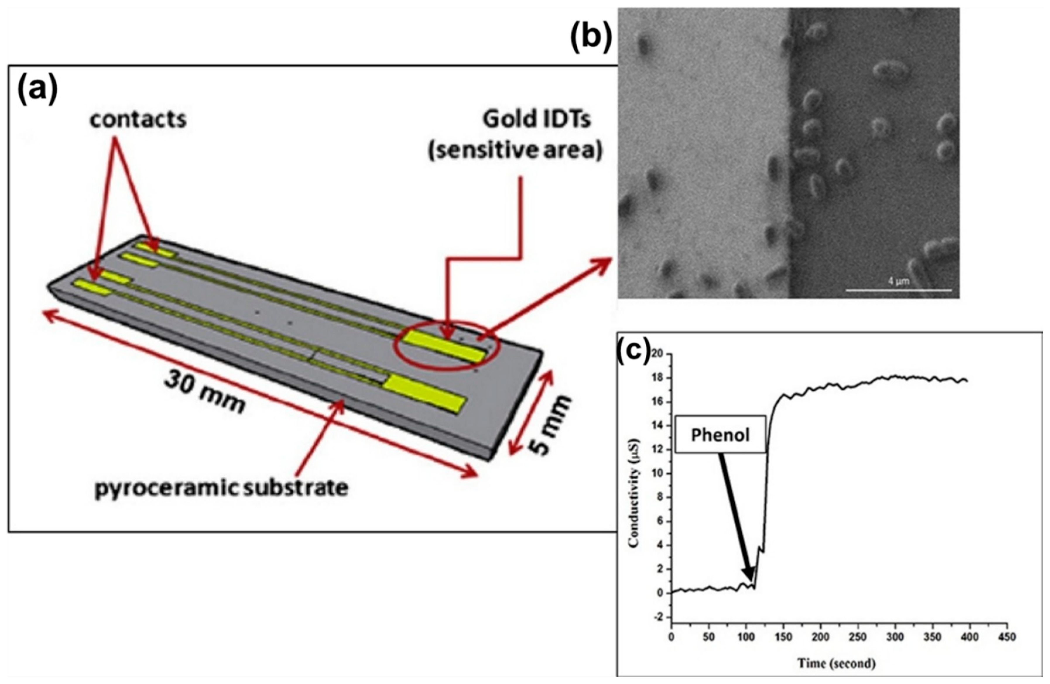 Molecules Free Full Text Metal Nanoparticles For Electrochemical Sensing Progress And Challenges In The Clinical Transition Of Point Of Care Testing Html
