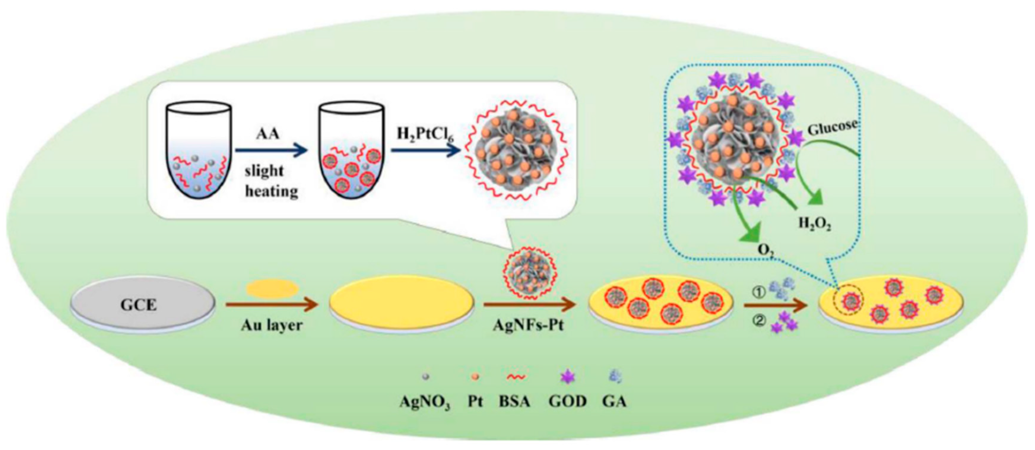 Molecules 25 05787 g015