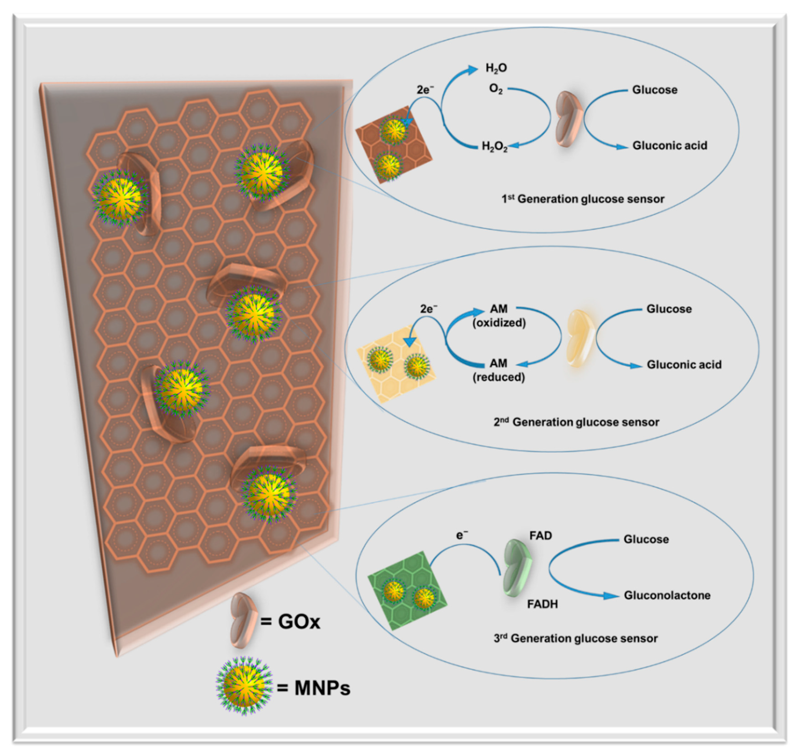 Molecules 25 05787 g017