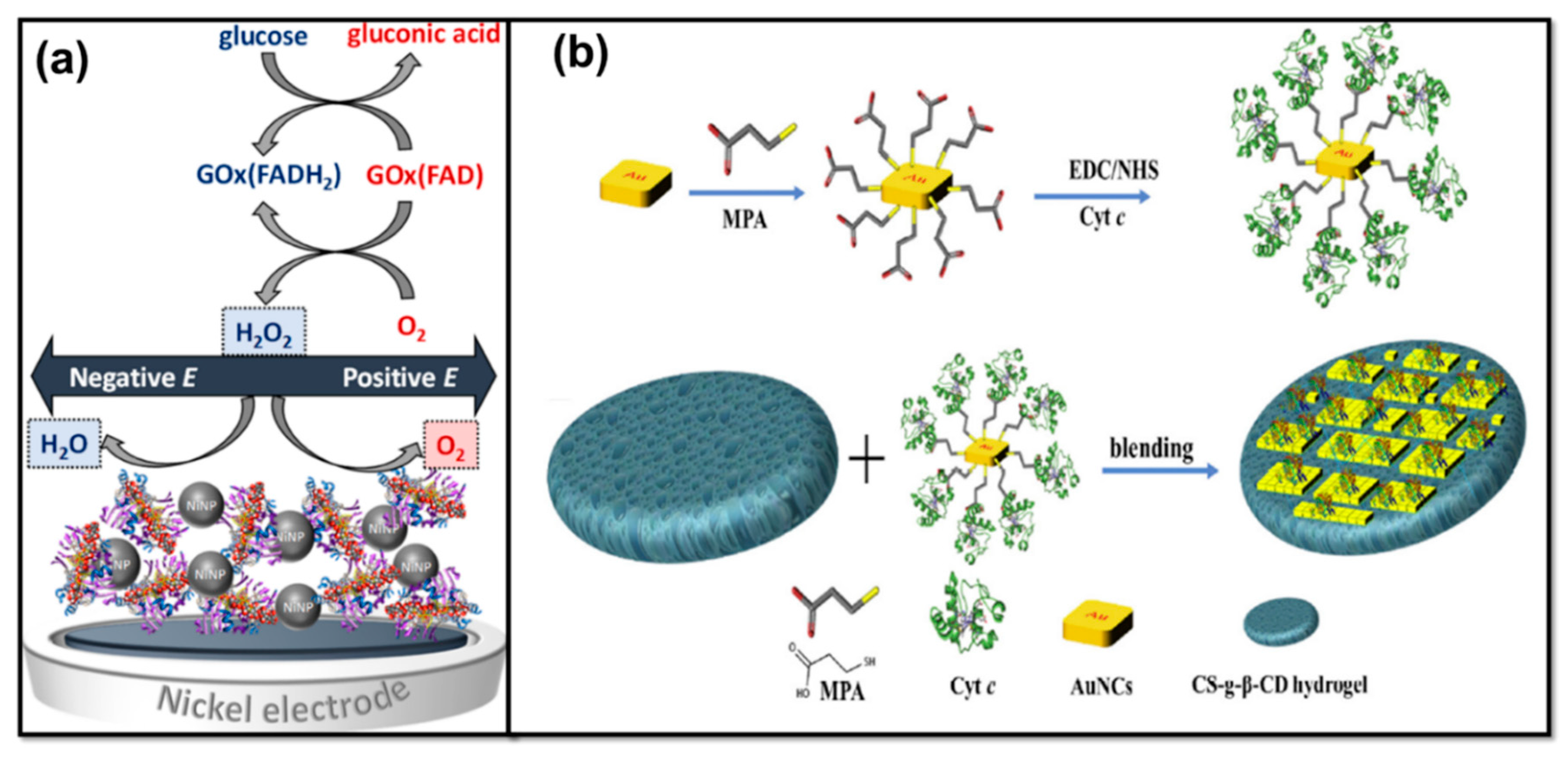Molecules 25 05787 g018