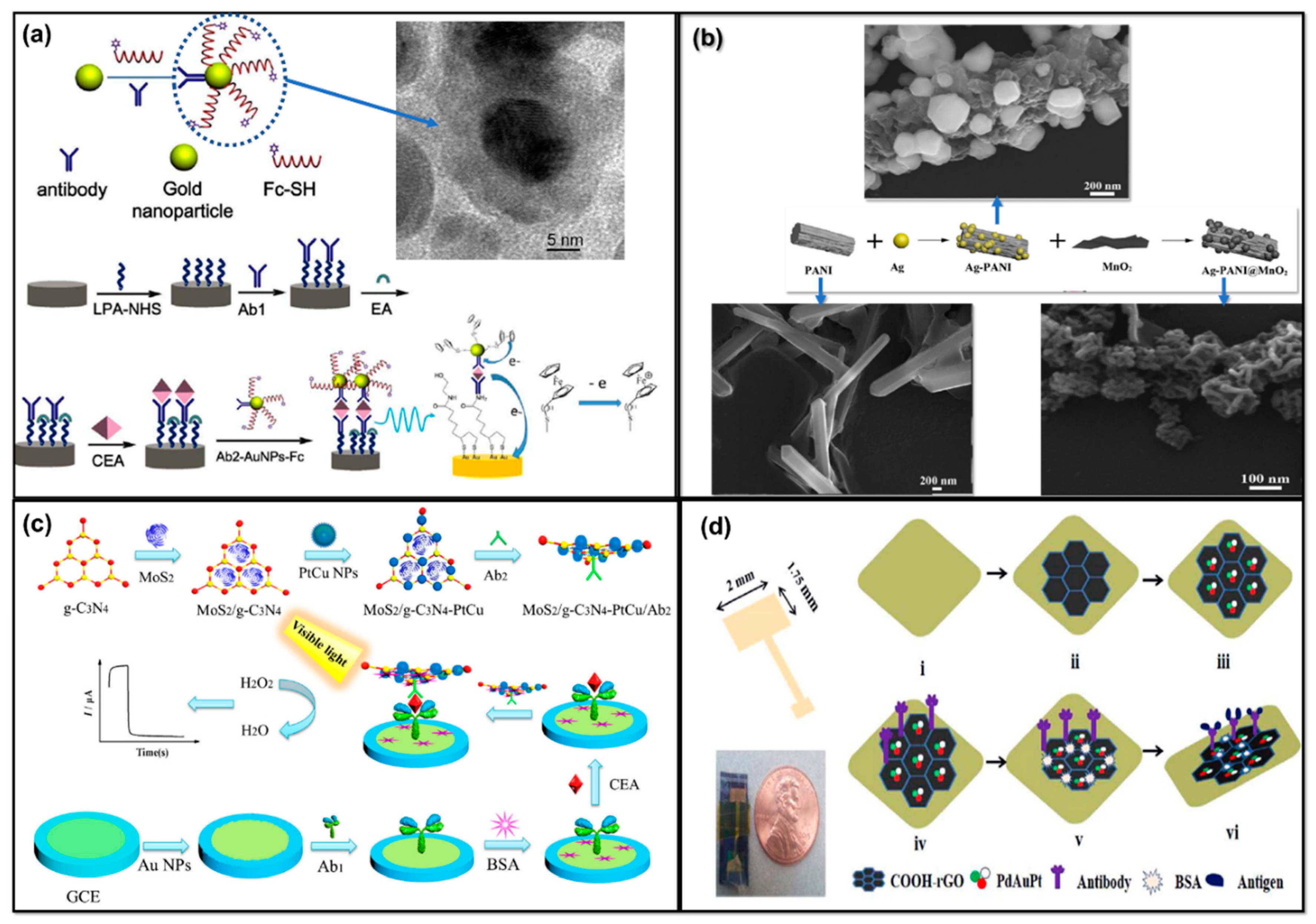 Molecules 25 05787 g019