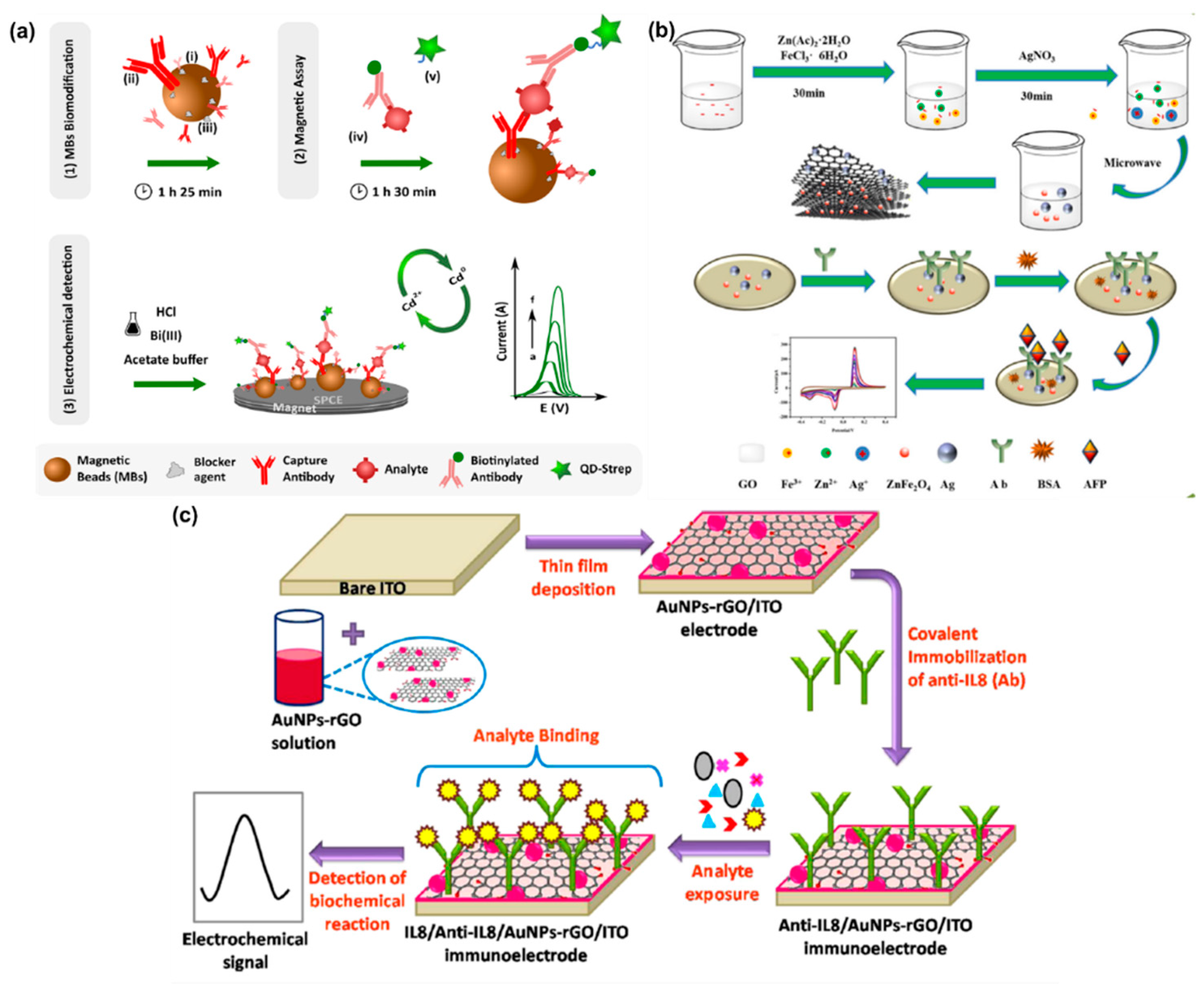 Molecules 25 05787 g021