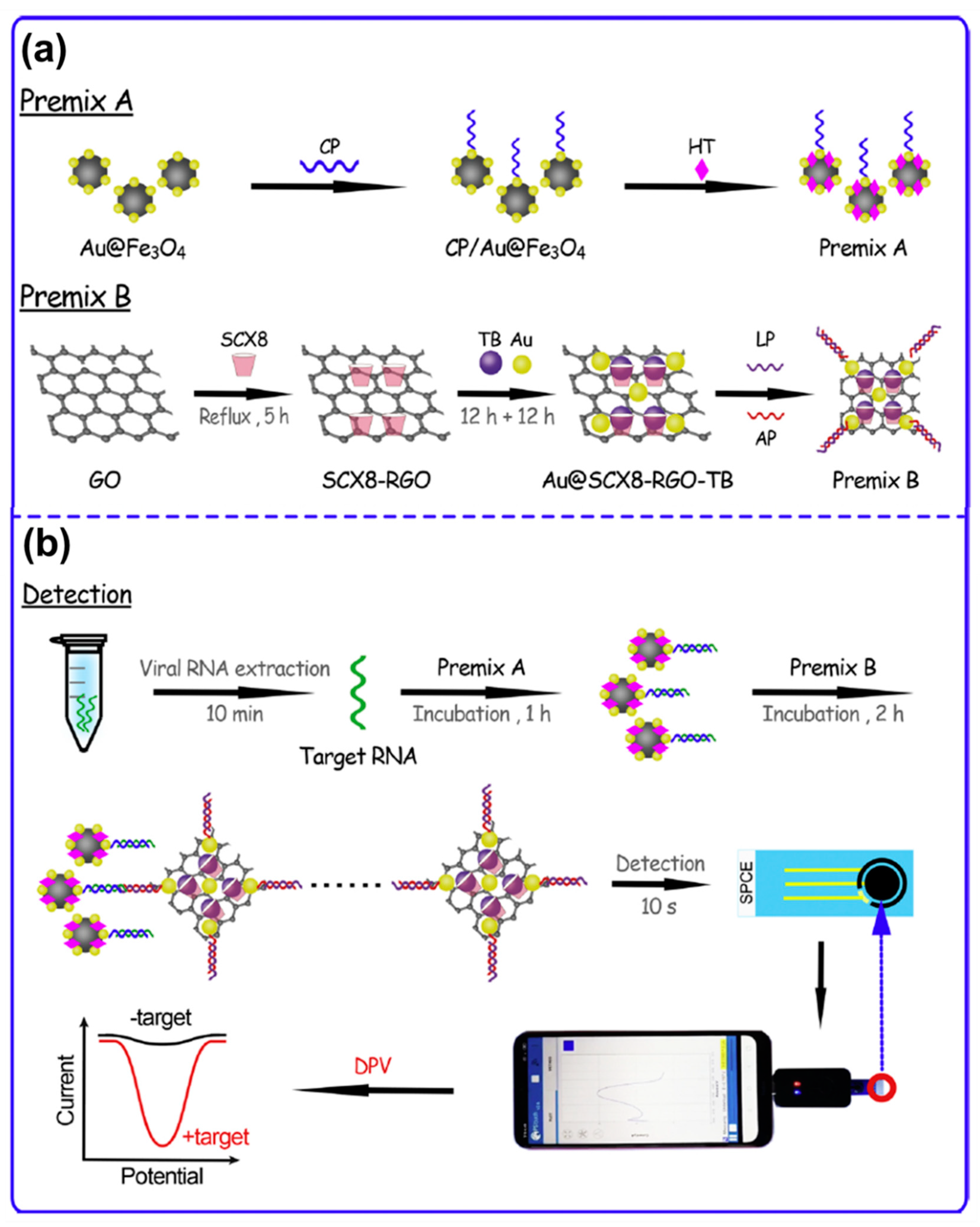Molecules 25 05787 g022