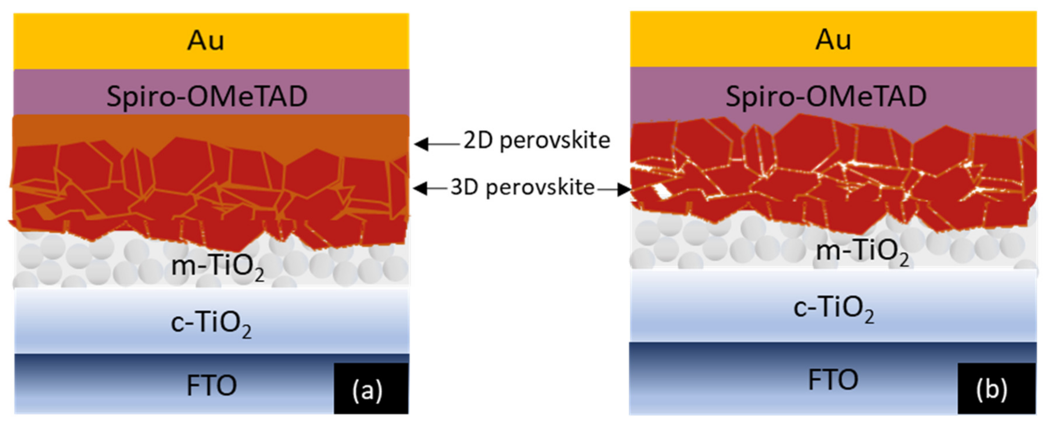 Molecules 25 05794 g001 Molecules 25 05794 g001