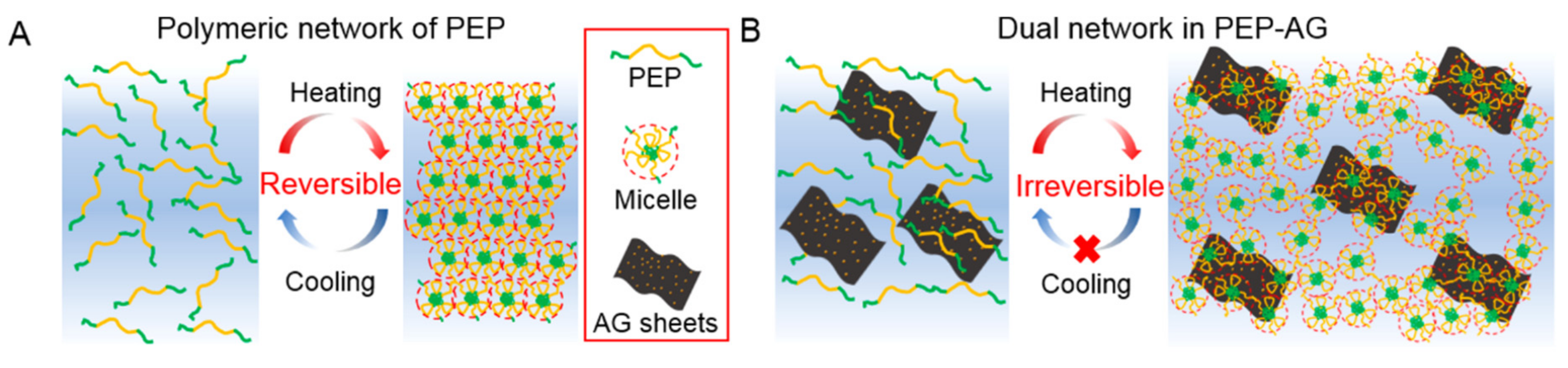 Molecules 25 05795 g005 Molecules 25 05795 g005