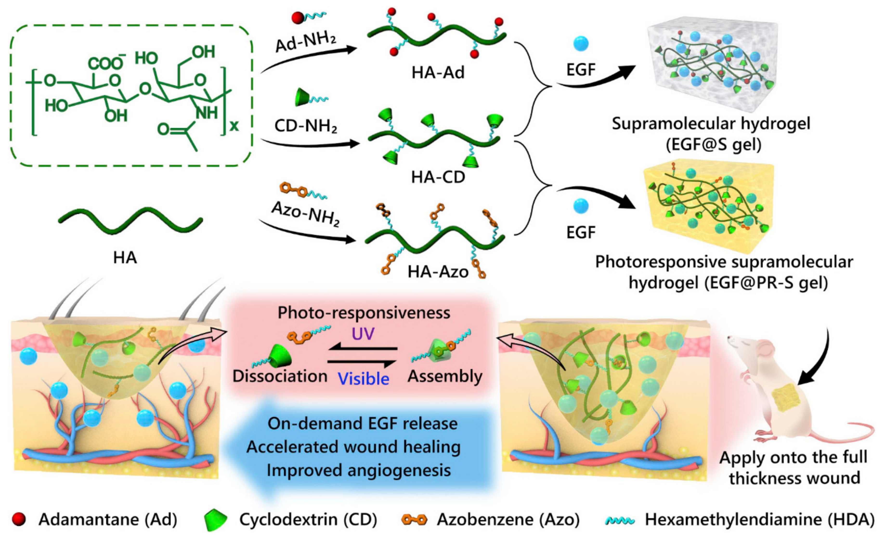Molecules 25 05795 g006 Molecules 25 05795 g006