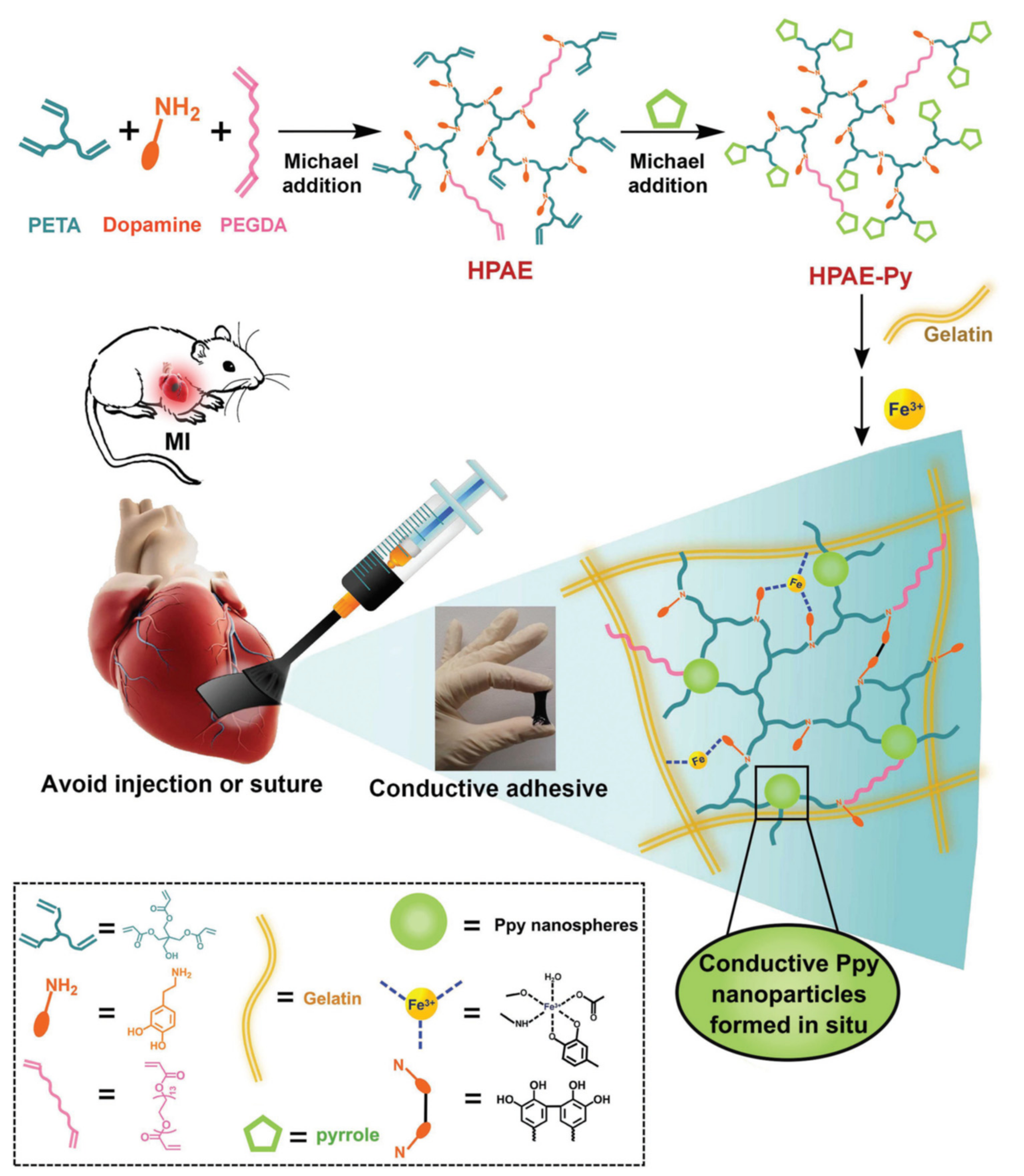 Molecules 25 05795 g007 Molecules 25 05795 g007