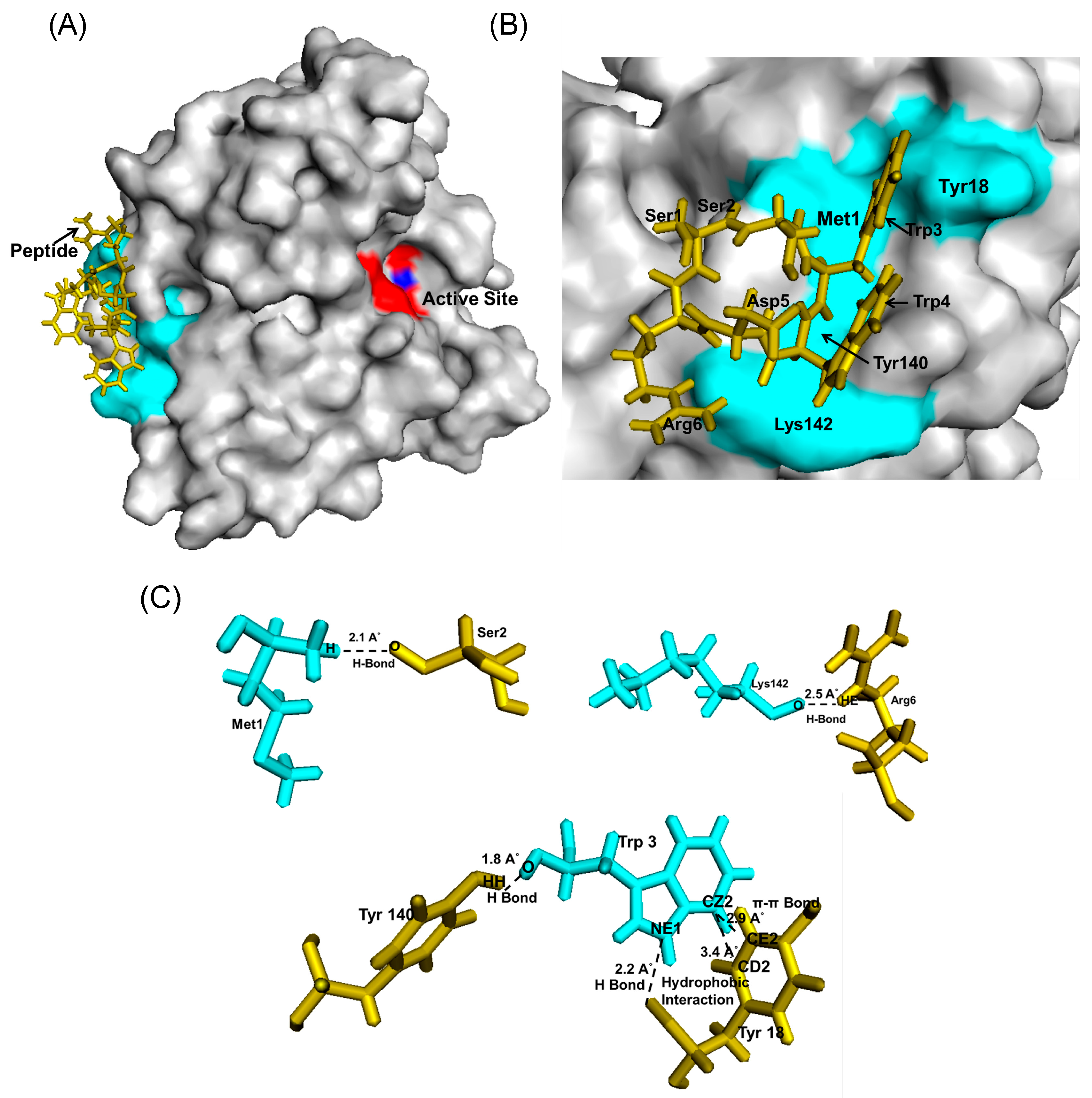 Molecules 25 05797 g009