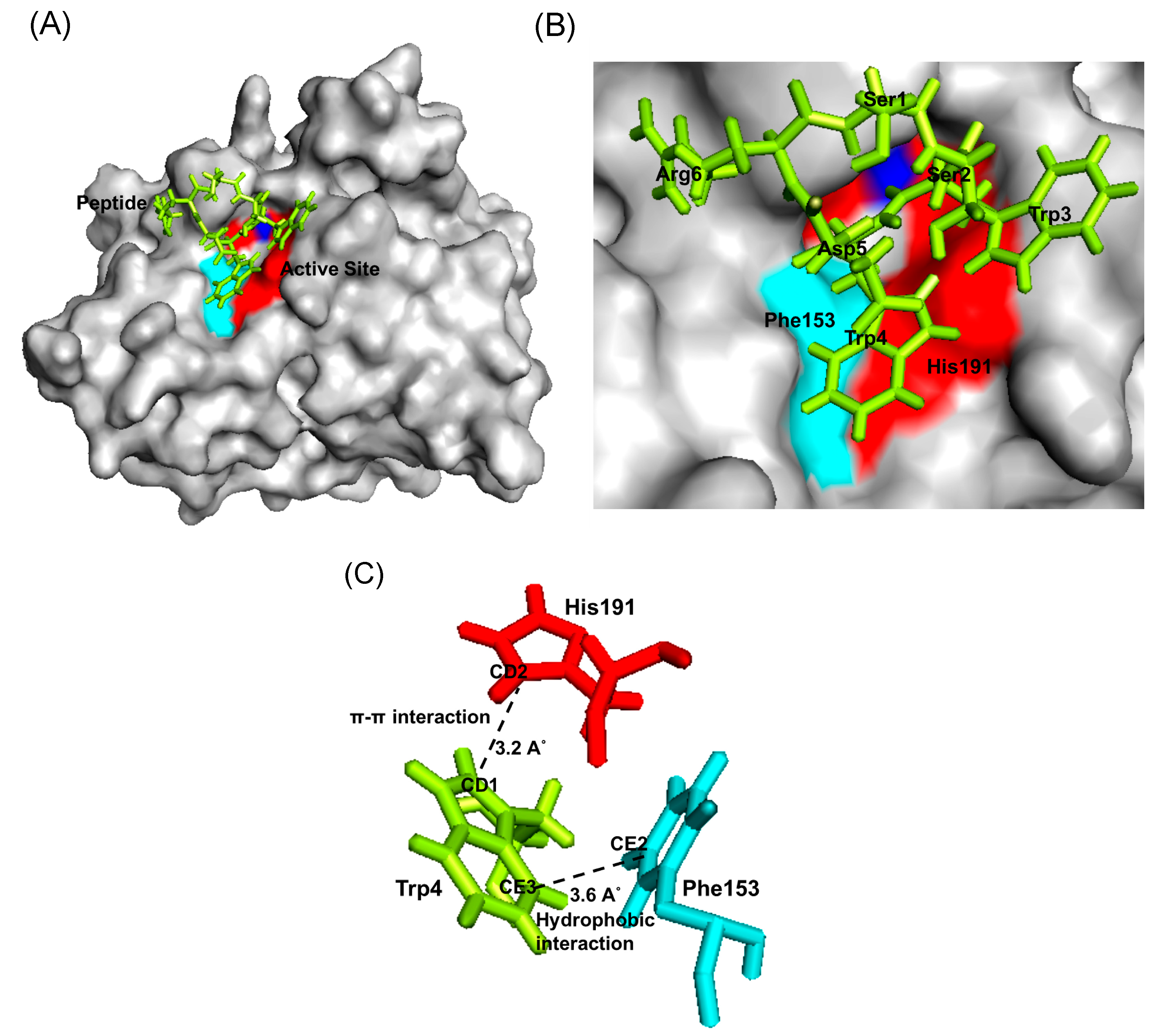 Molecules Free Full Text Design And Characterisation Of Inhibitory Peptides Against Bleg1 2478 An Evolutionary Divergent Metallo B Lactamase Html Molecules Free Full Text Design And Characterisation Of Inhibitory Peptides Against Bleg1 2478 An Evolutionary Divergent Metallo B Lactamase Html