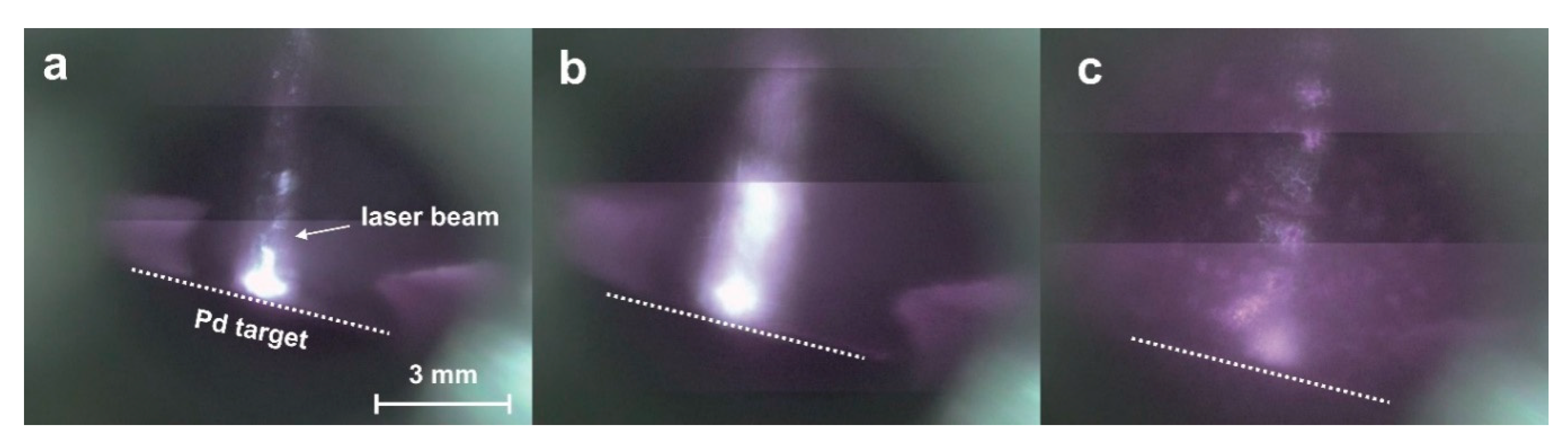 Molecules 25 05807 g001