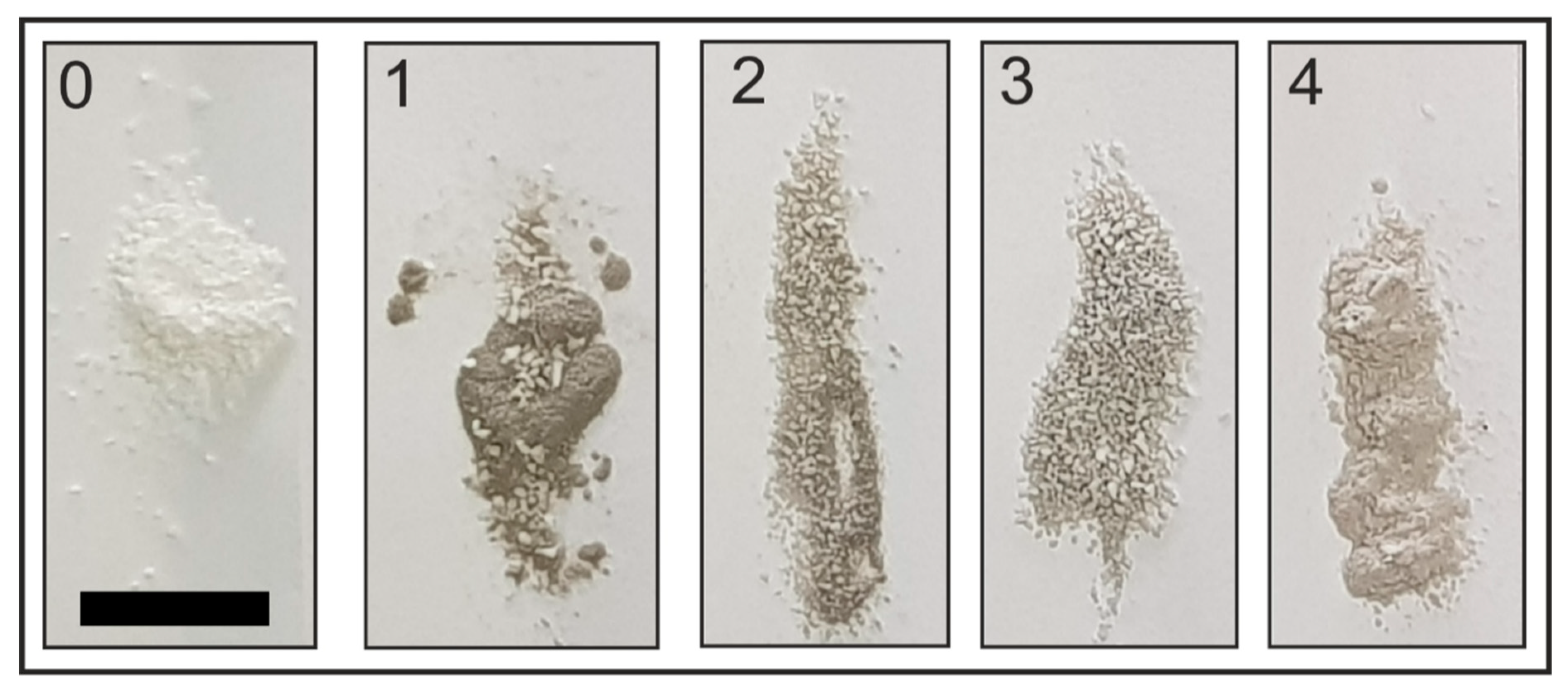 Molecules 25 05807 g002