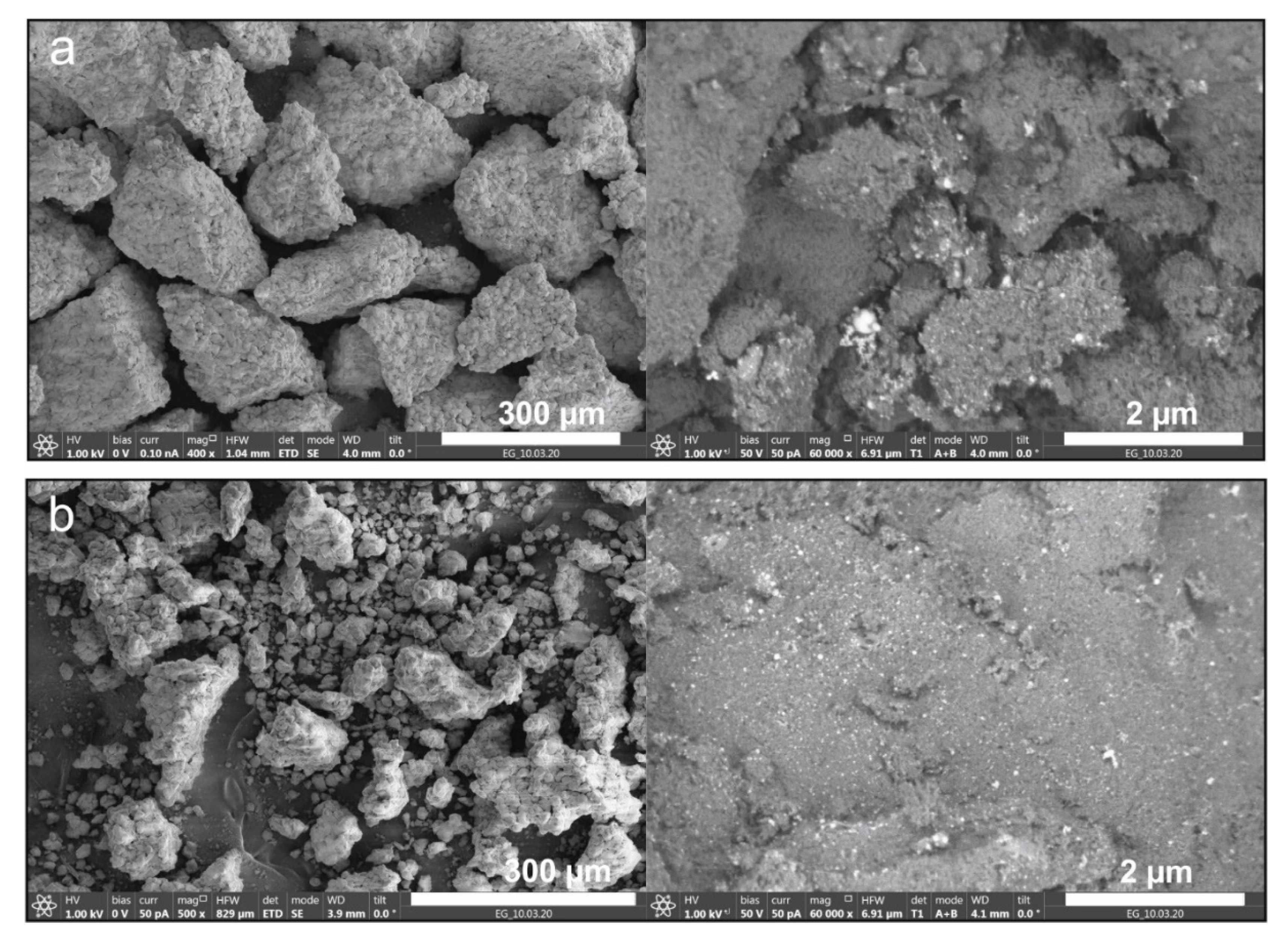 Molecules 25 05807 g004