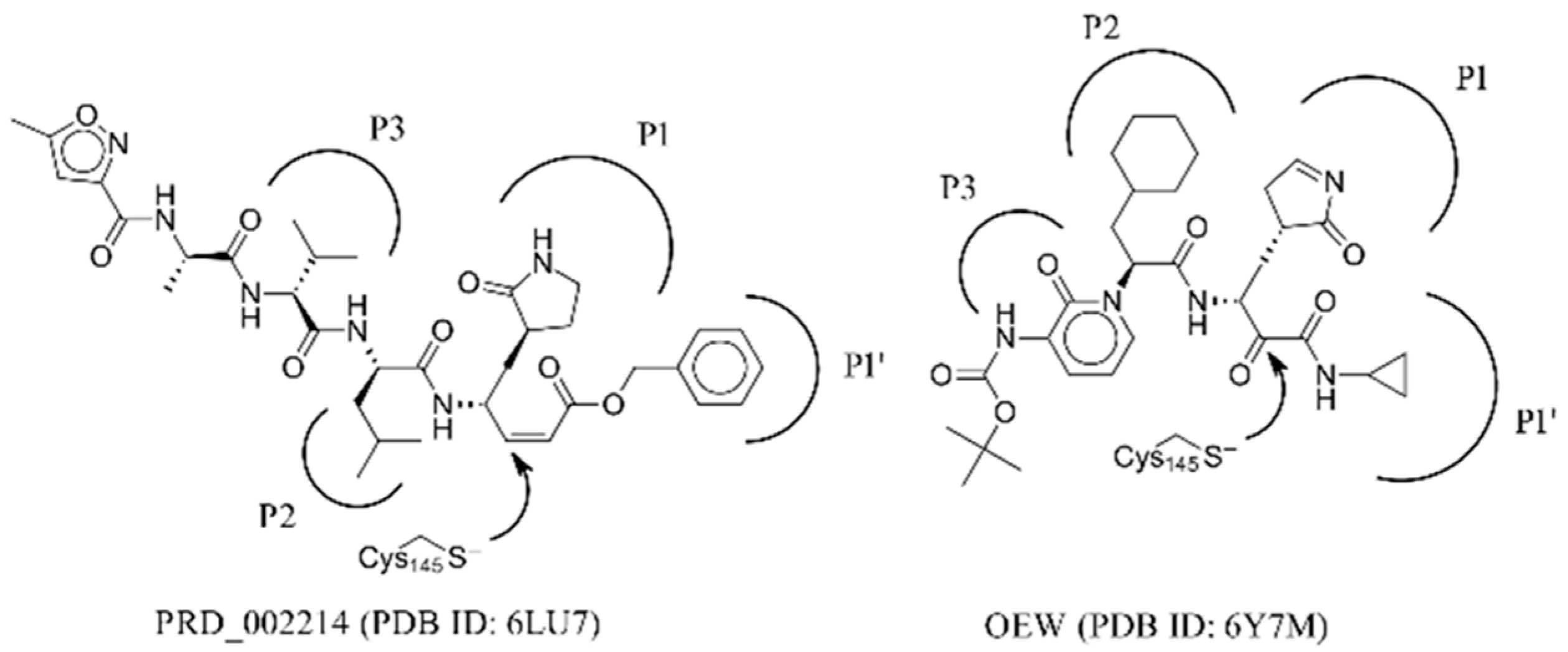Molecules 25 05808 g001