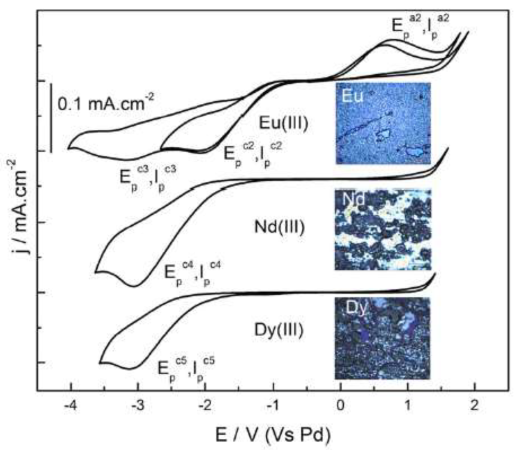 Molecules 25 05812 g006 Molecules 25 05812 g006