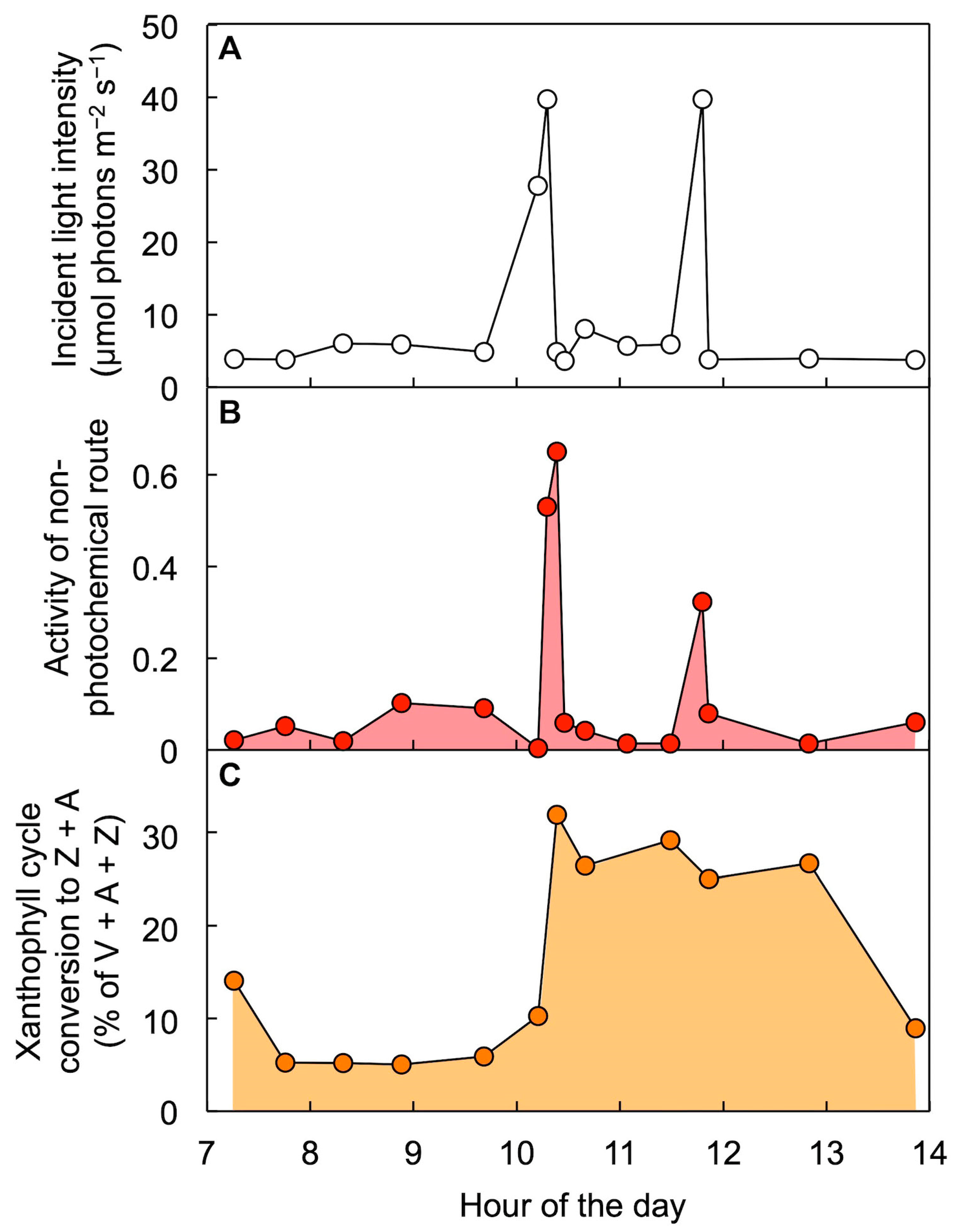 Molecules 25 05825 g010 Molecules 25 05825 g010