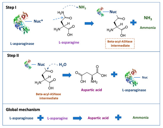 Molecules 25 05827 g001 550