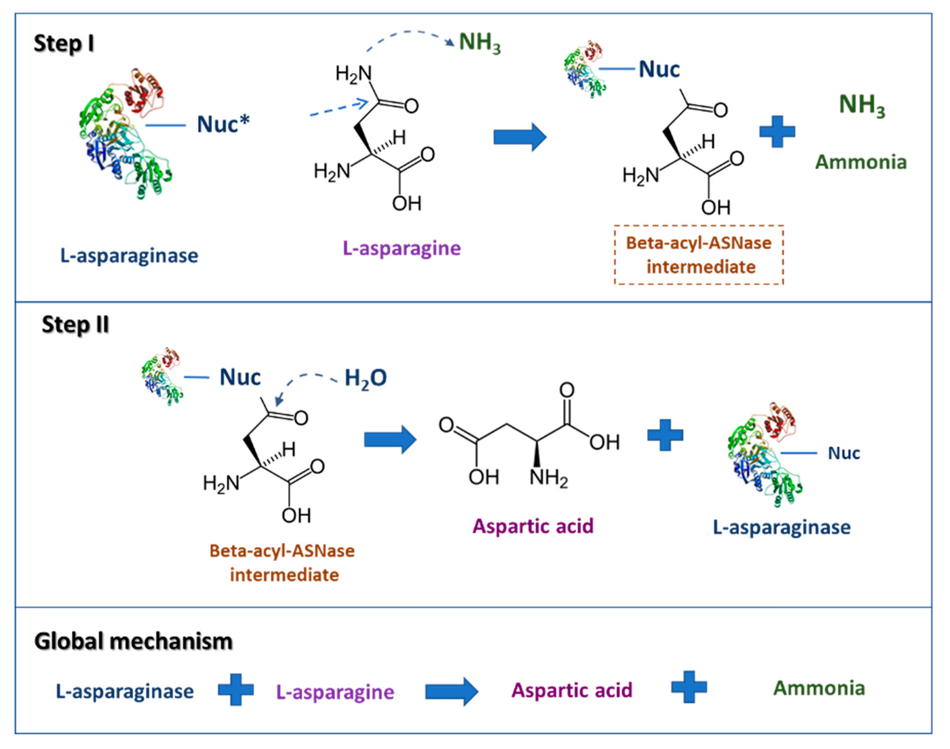 Molecules 25 05827 g001