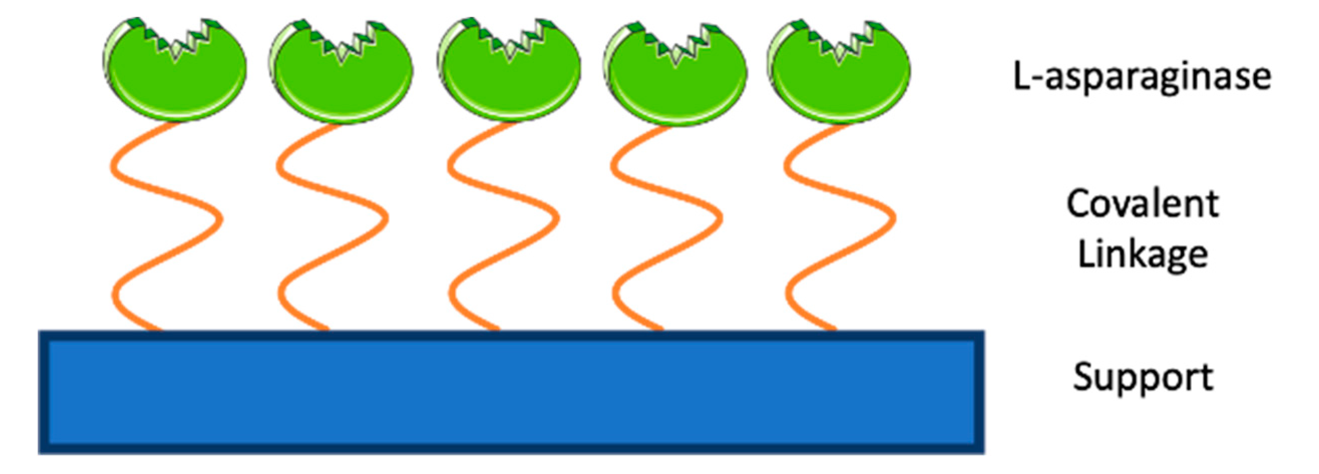 Molecules 25 05827 g003