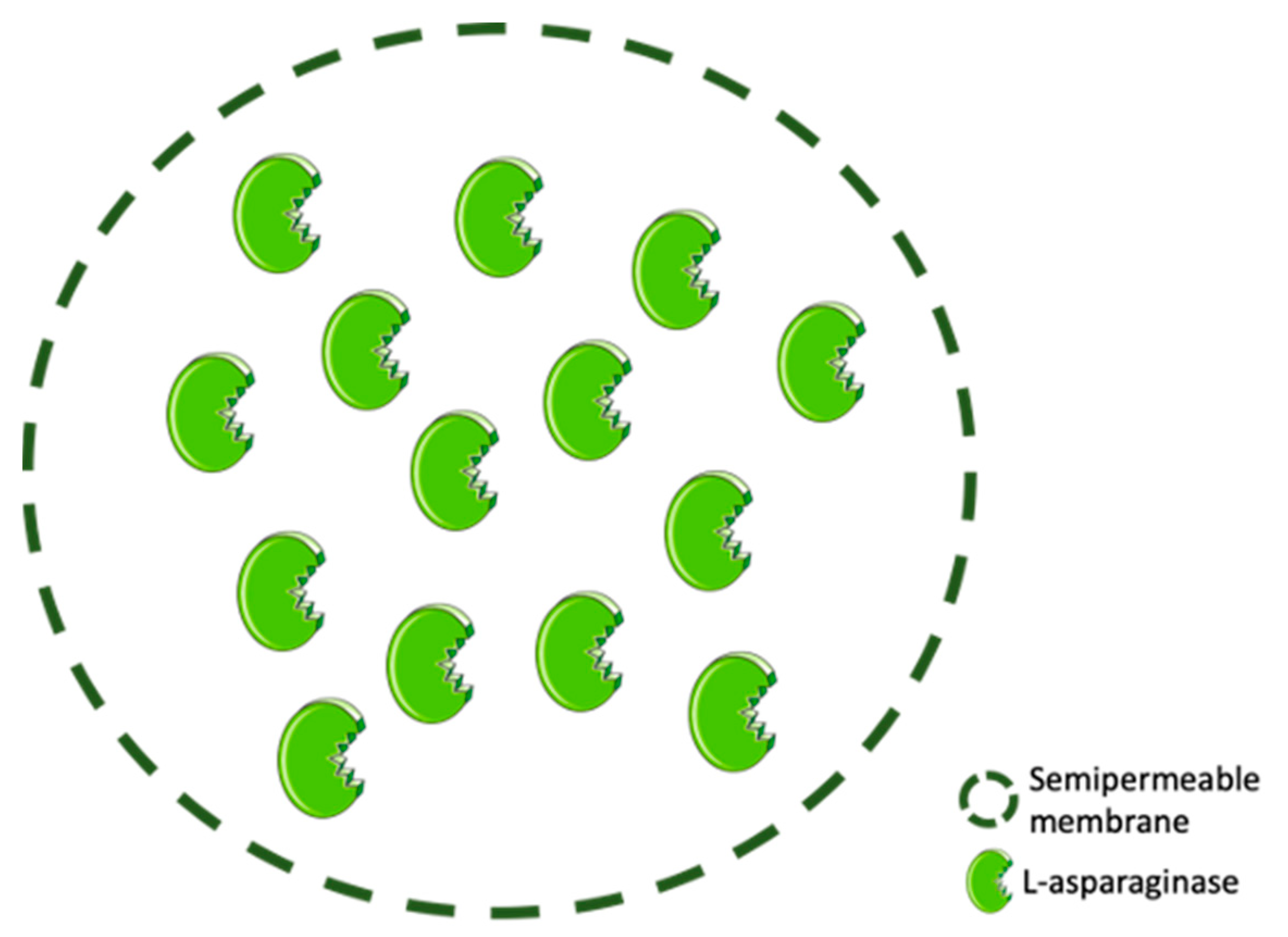 Molecules 25 05827 g005