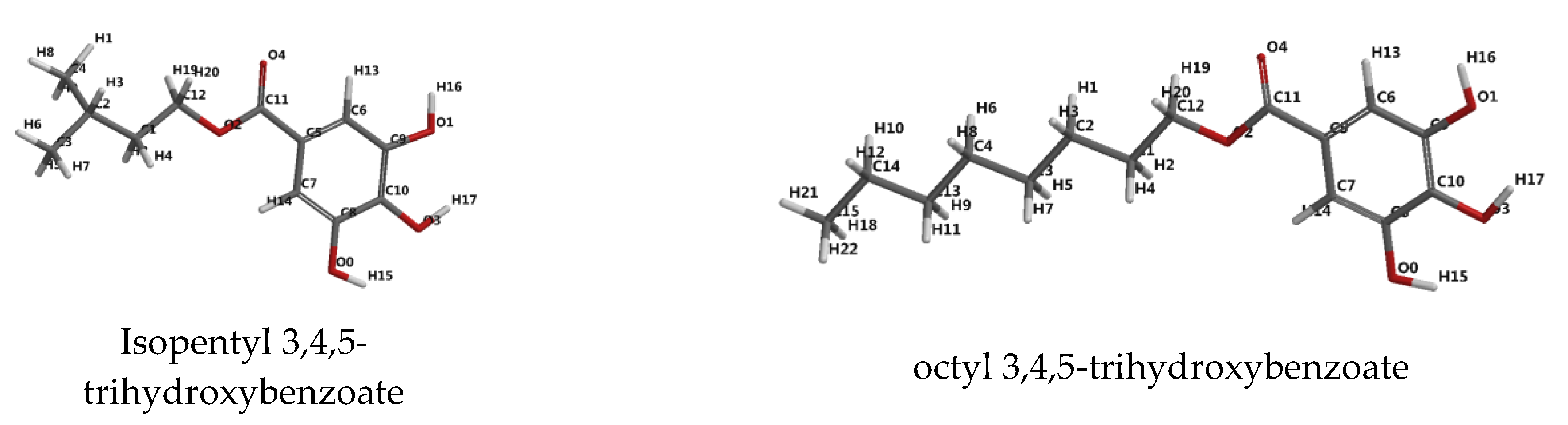 Molecules 25 05828 g001b