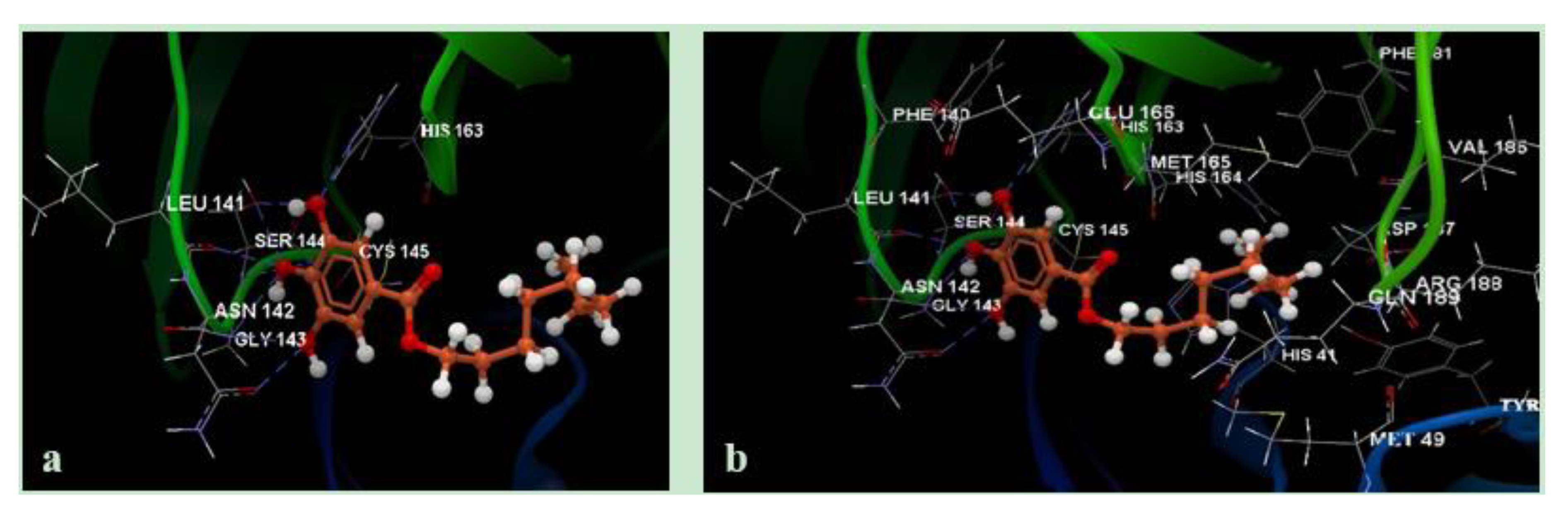 Molecules 25 05828 g004