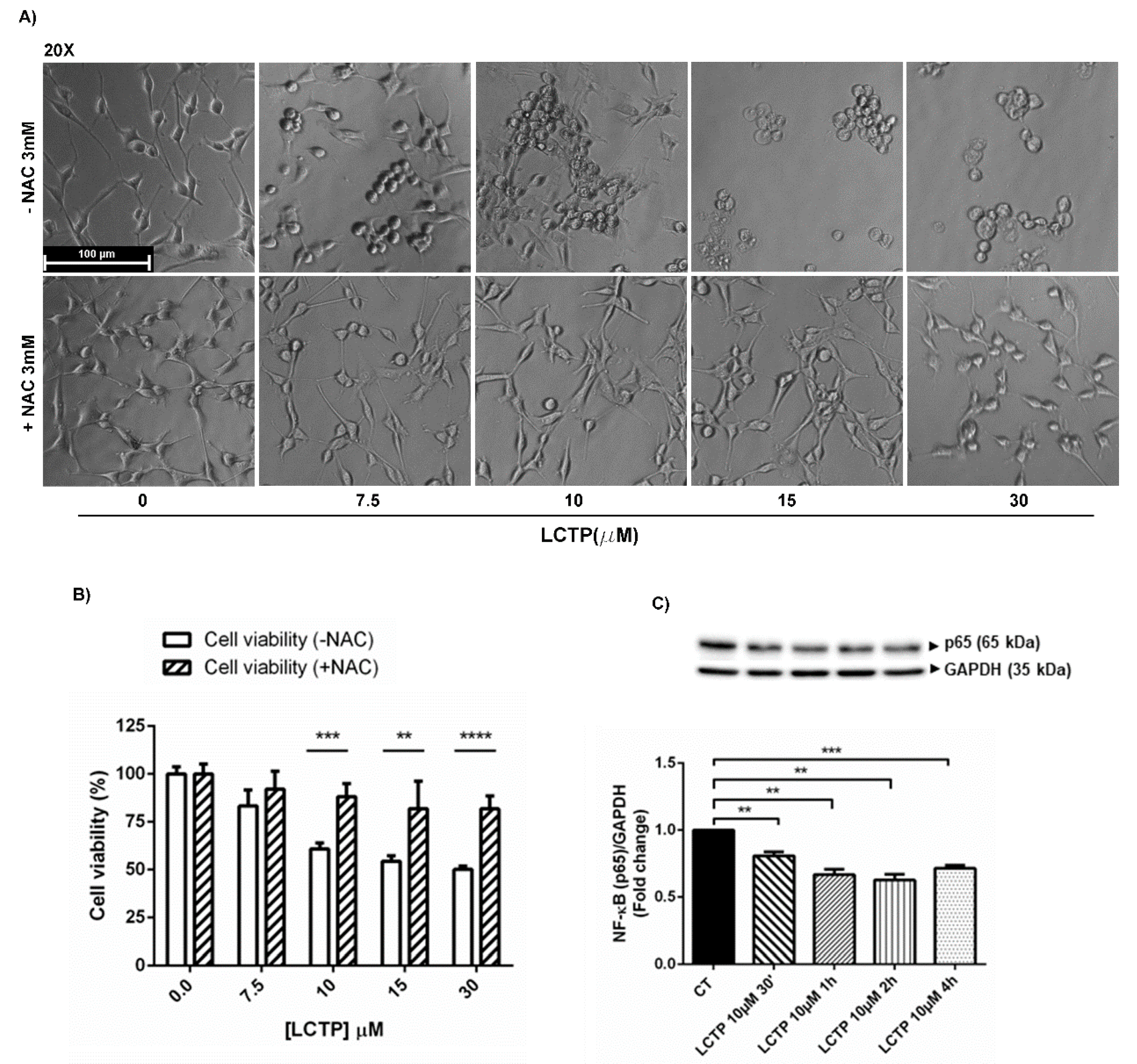 Molecules 25 05843 g004 Molecules 25 05843 g004
