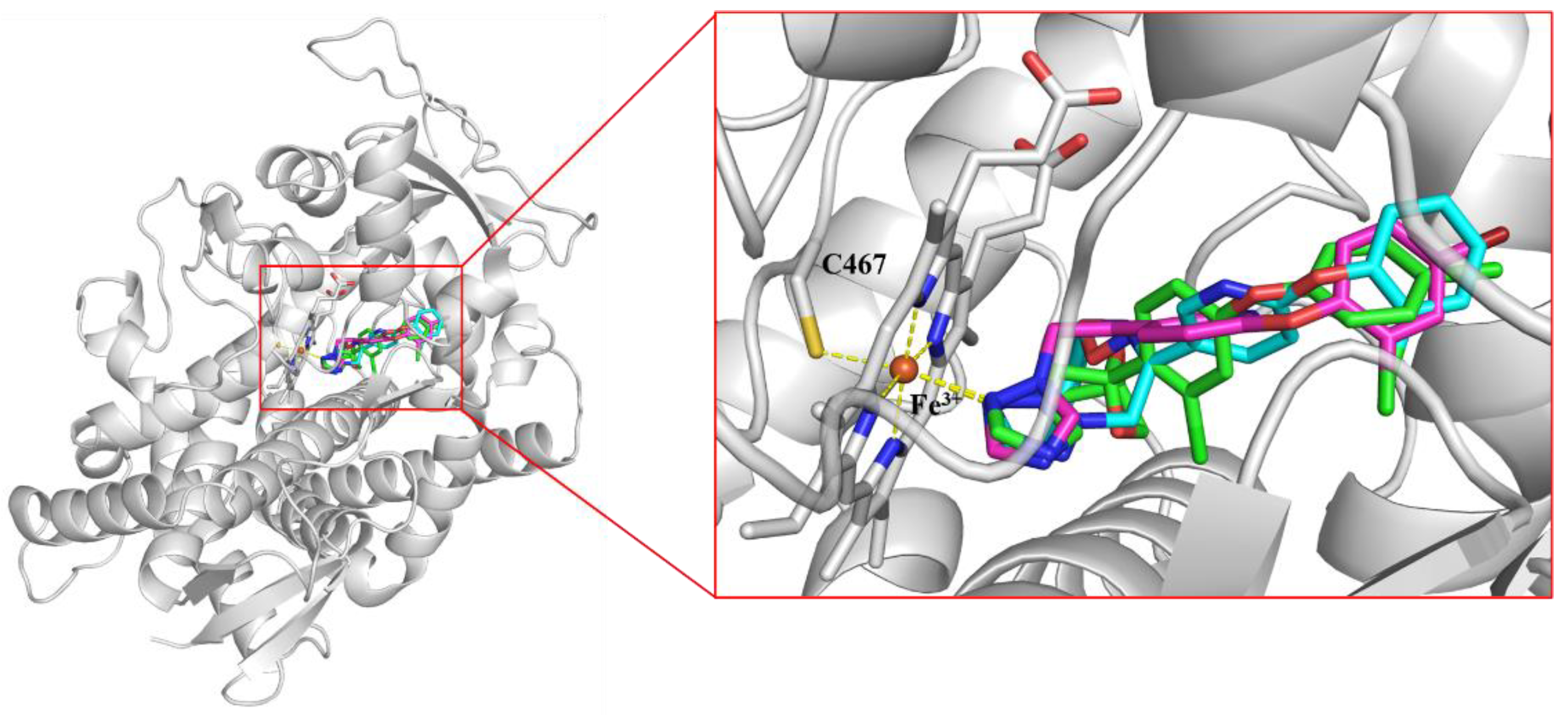 Molecules 25 05852 g002 Molecules 25 05852 g002