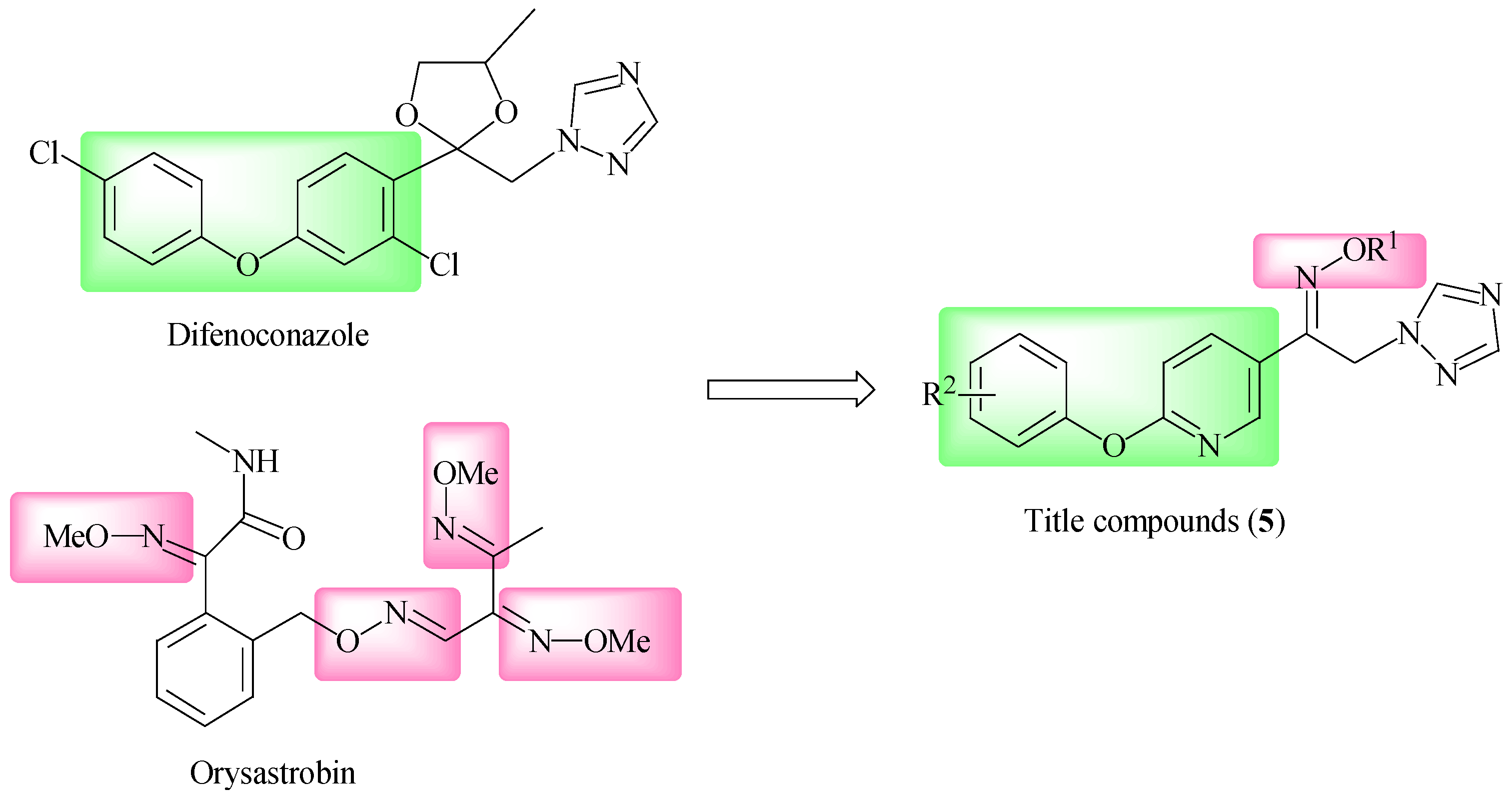 Molecules 25 05852 sch001 Molecules 25 05852 sch001