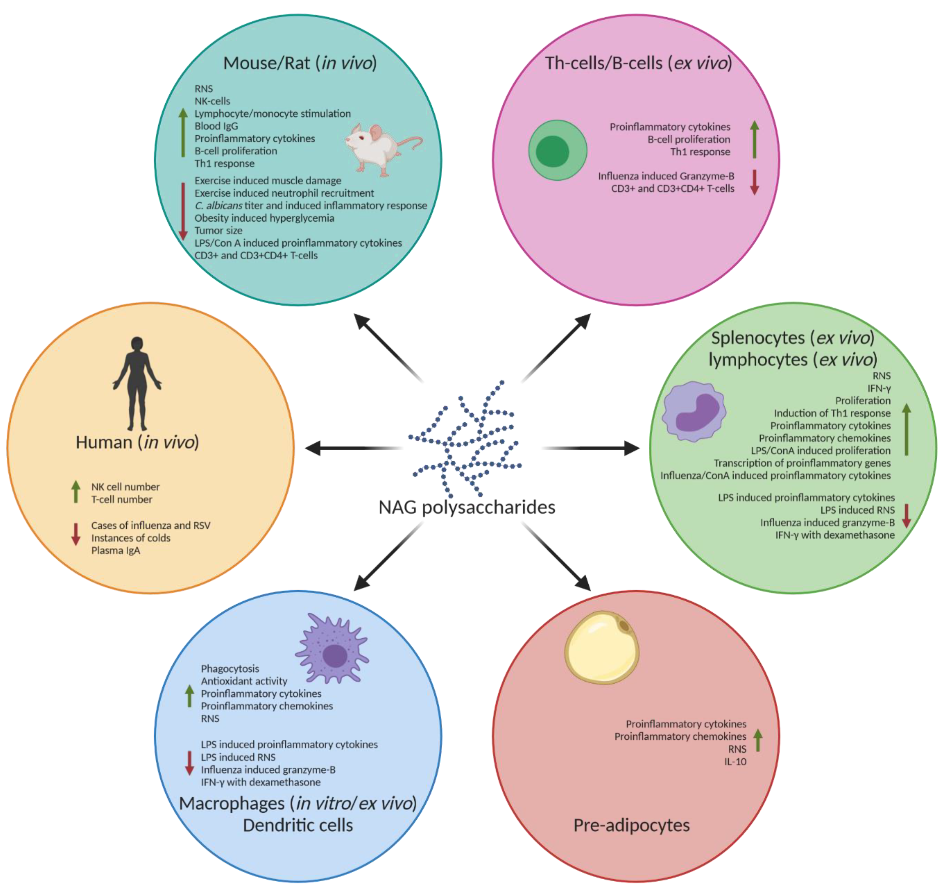 Molecules 25 05854 g002