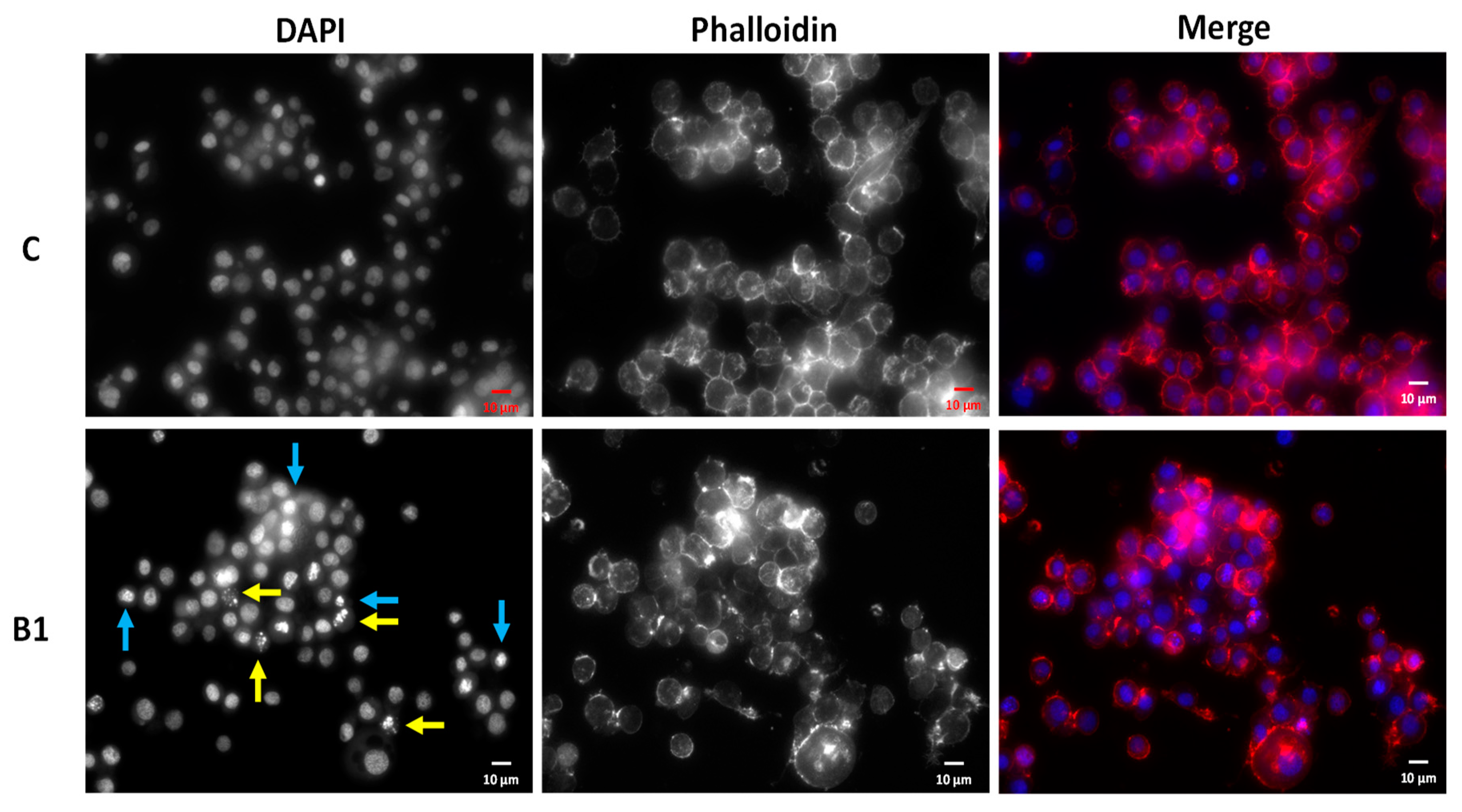 Molecules 25 05855 g003 Molecules 25 05855 g003