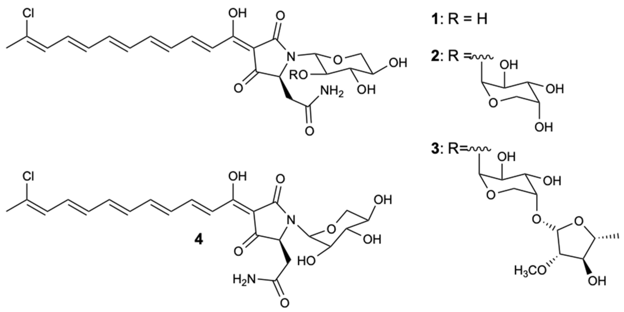 Molecules 25 05856 g003