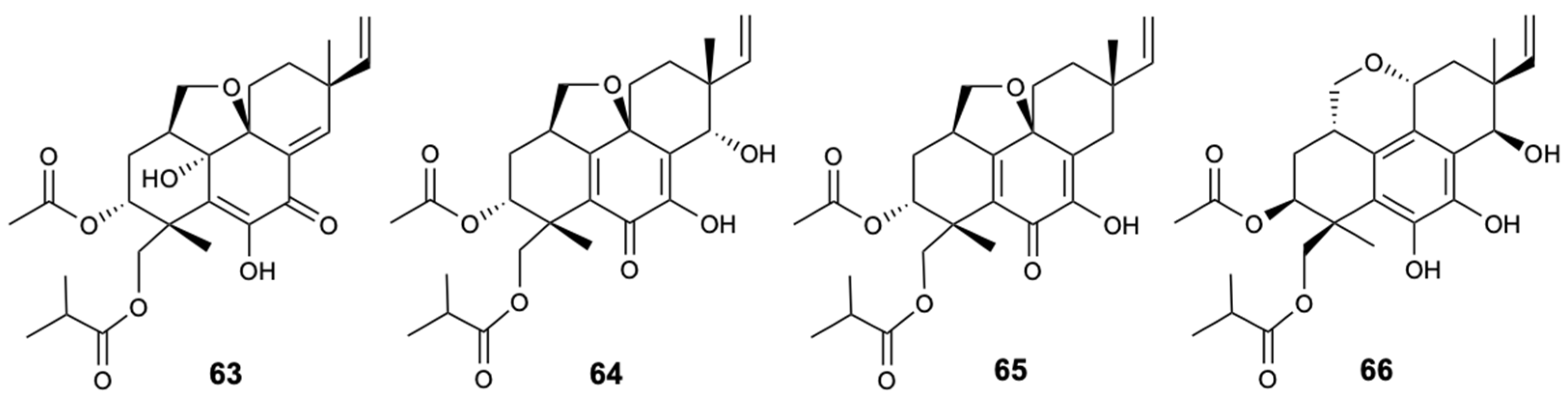 Molecules 25 05856 g017