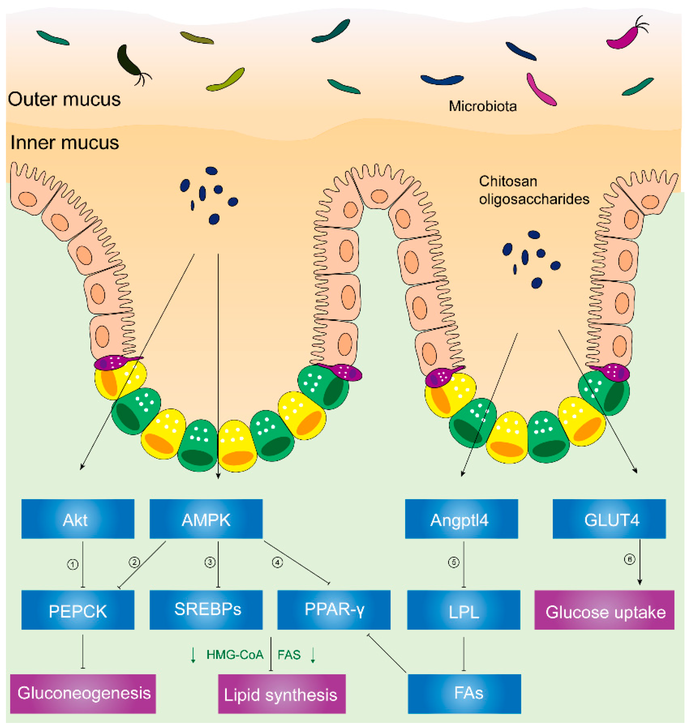 Molecules 25 05857 g002 Molecules 25 05857 g002