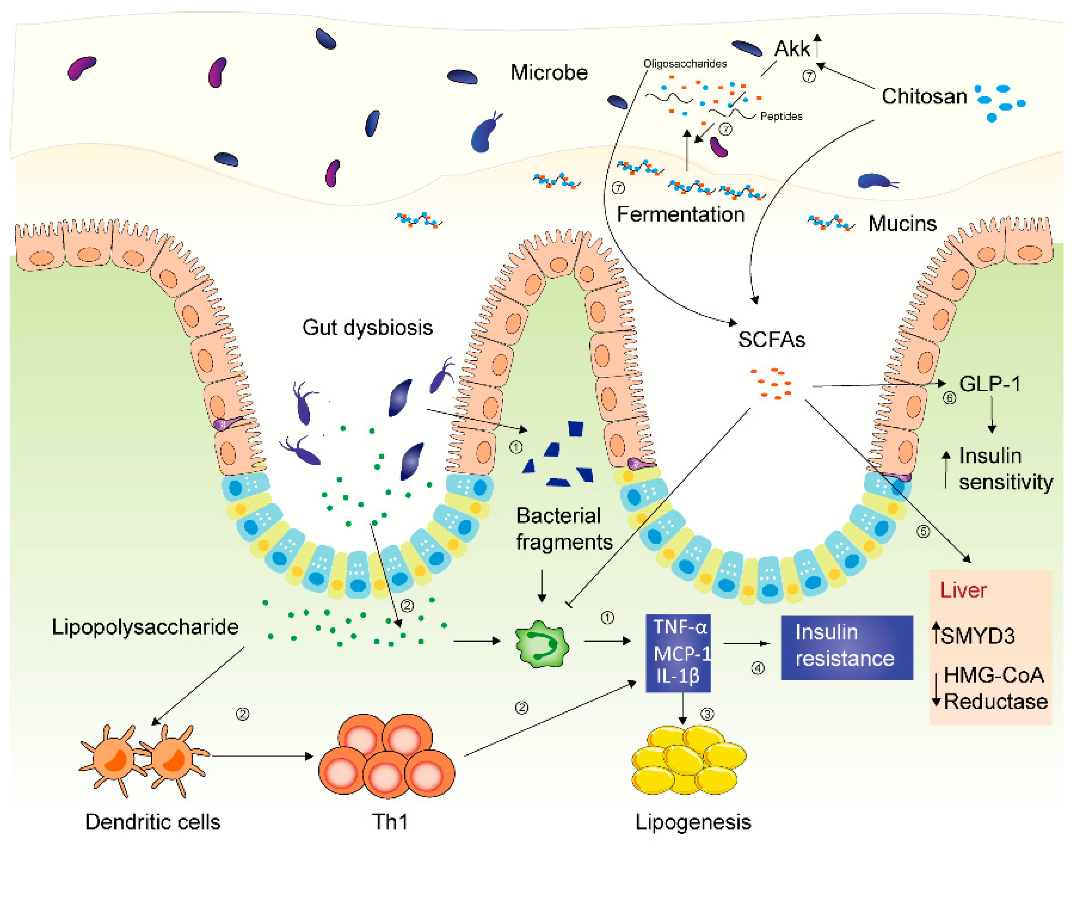 Molecules 25 05857 g003 Molecules 25 05857 g003