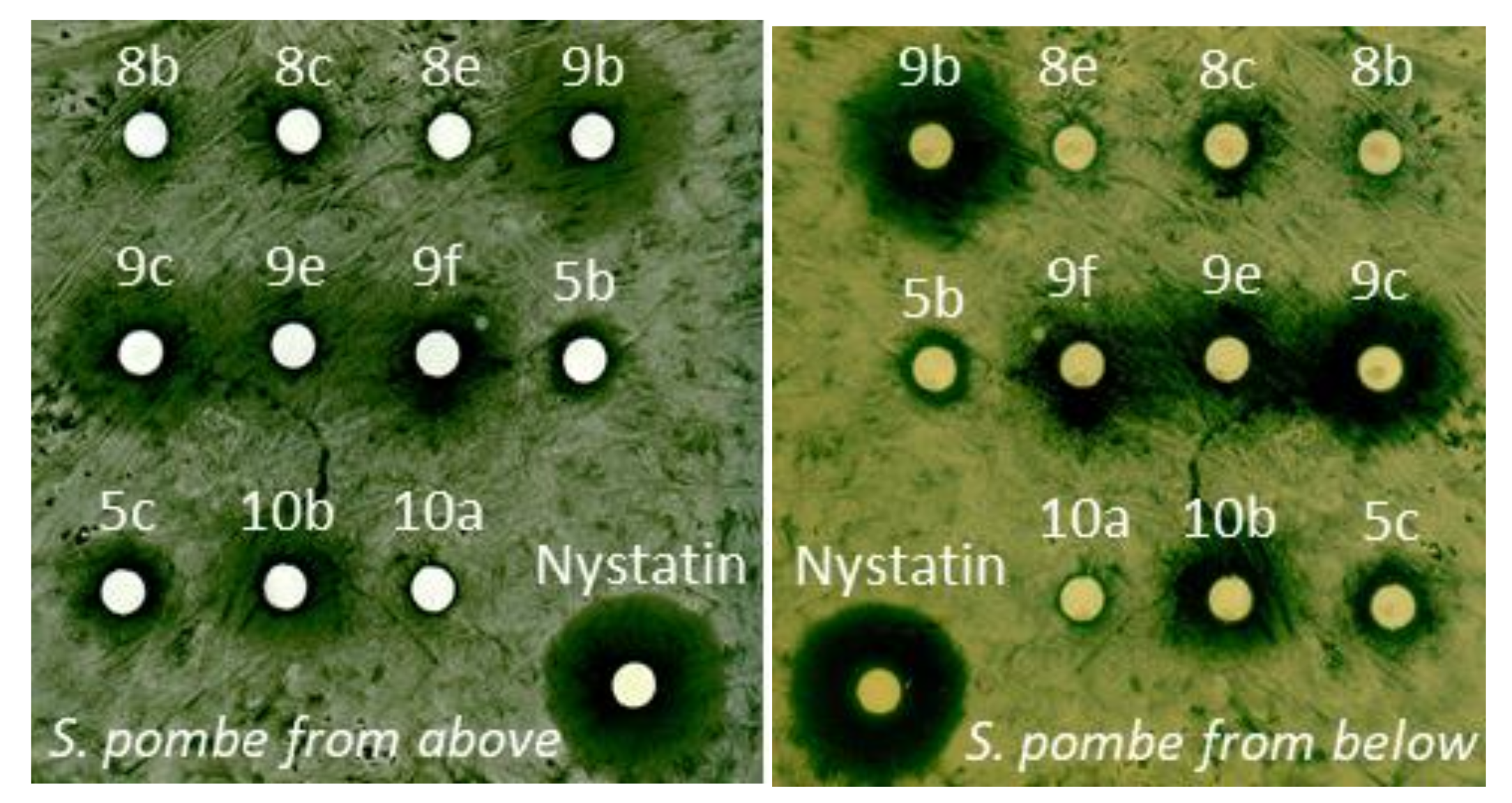 Molecules 25 05868 g0a6