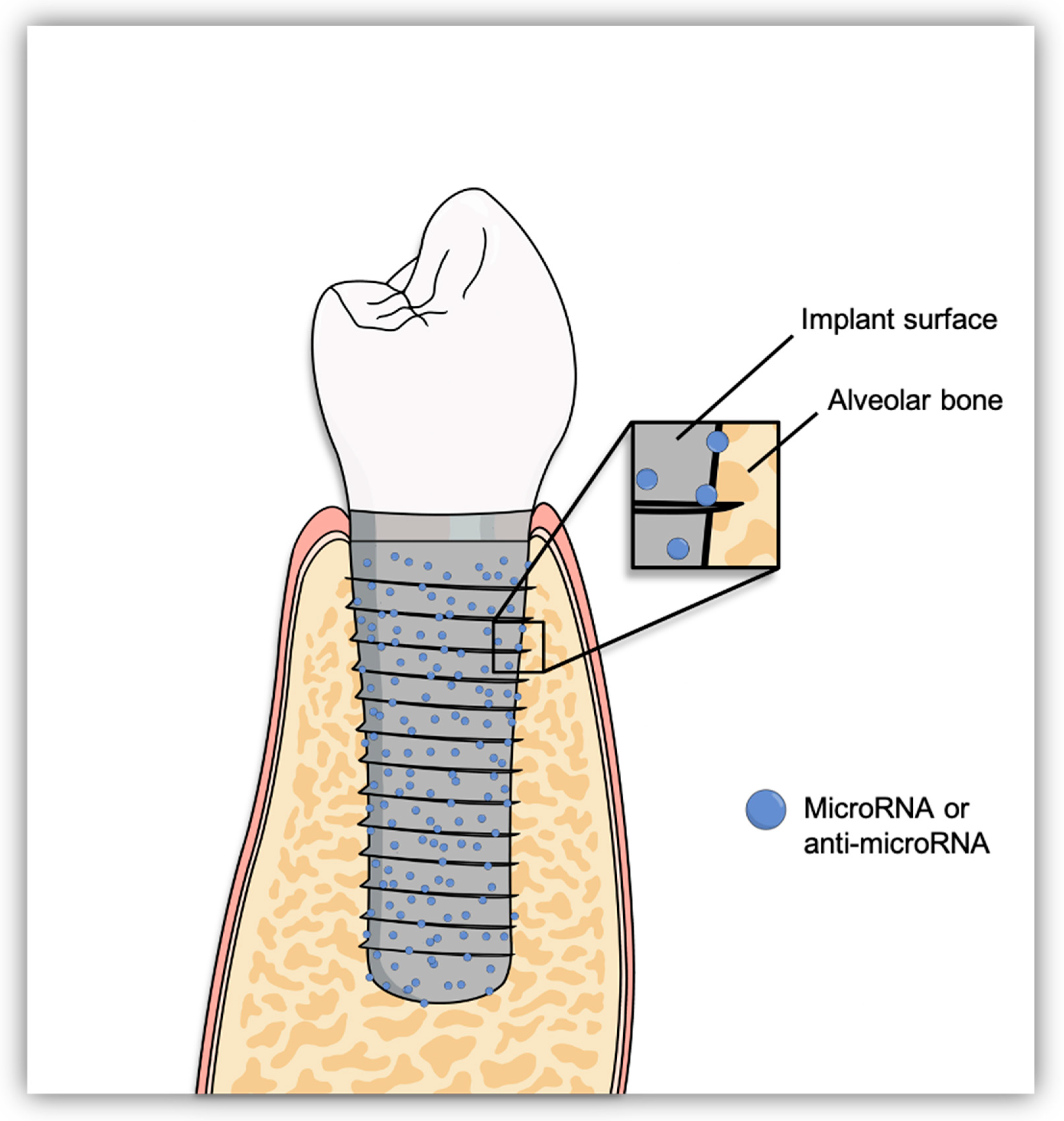 Molecules 25 05879 g003