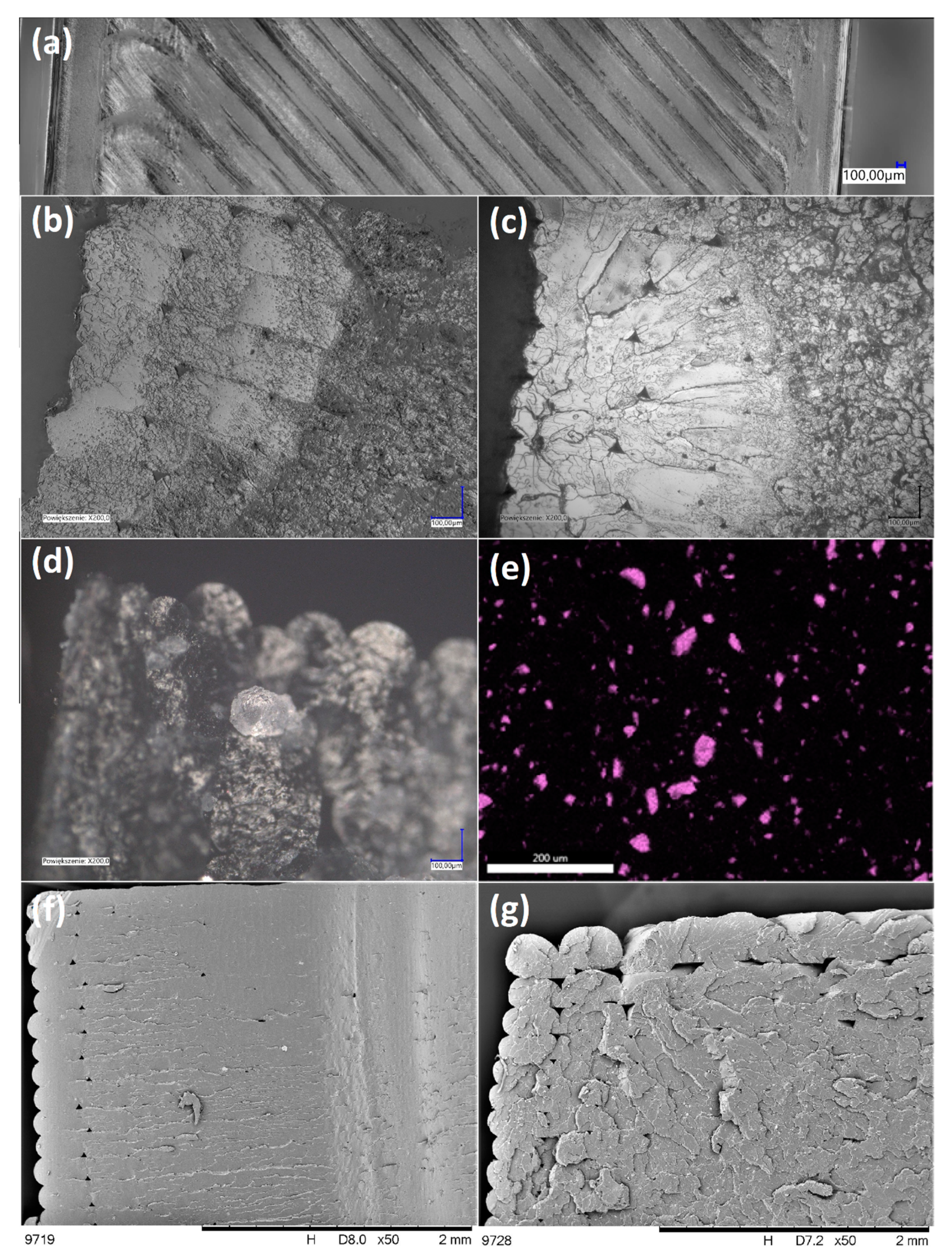 Molecules 25 05882 g004