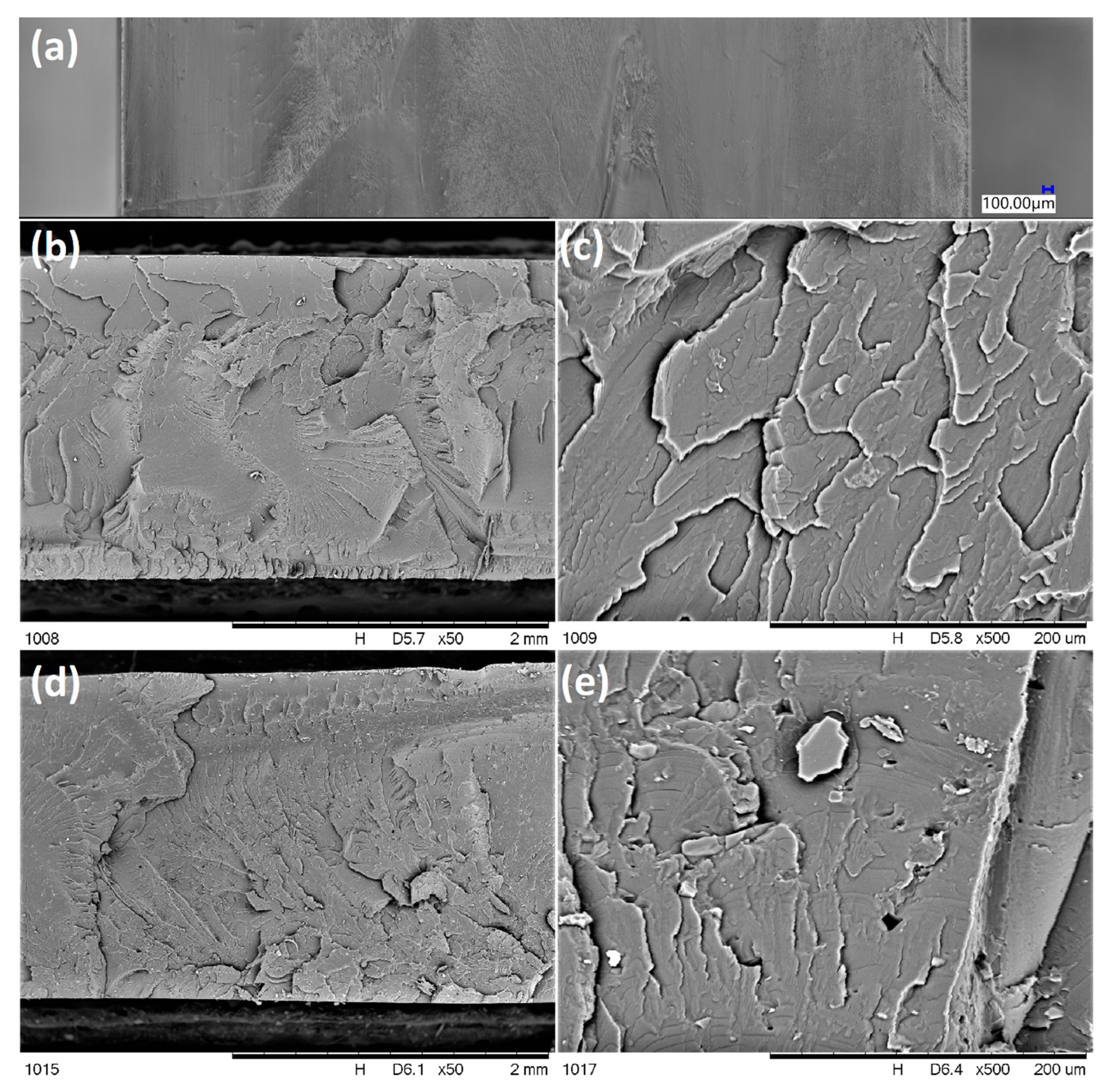 Molecules 25 05882 g005