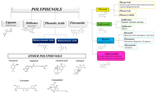 Molecules 25 05888 g001 550