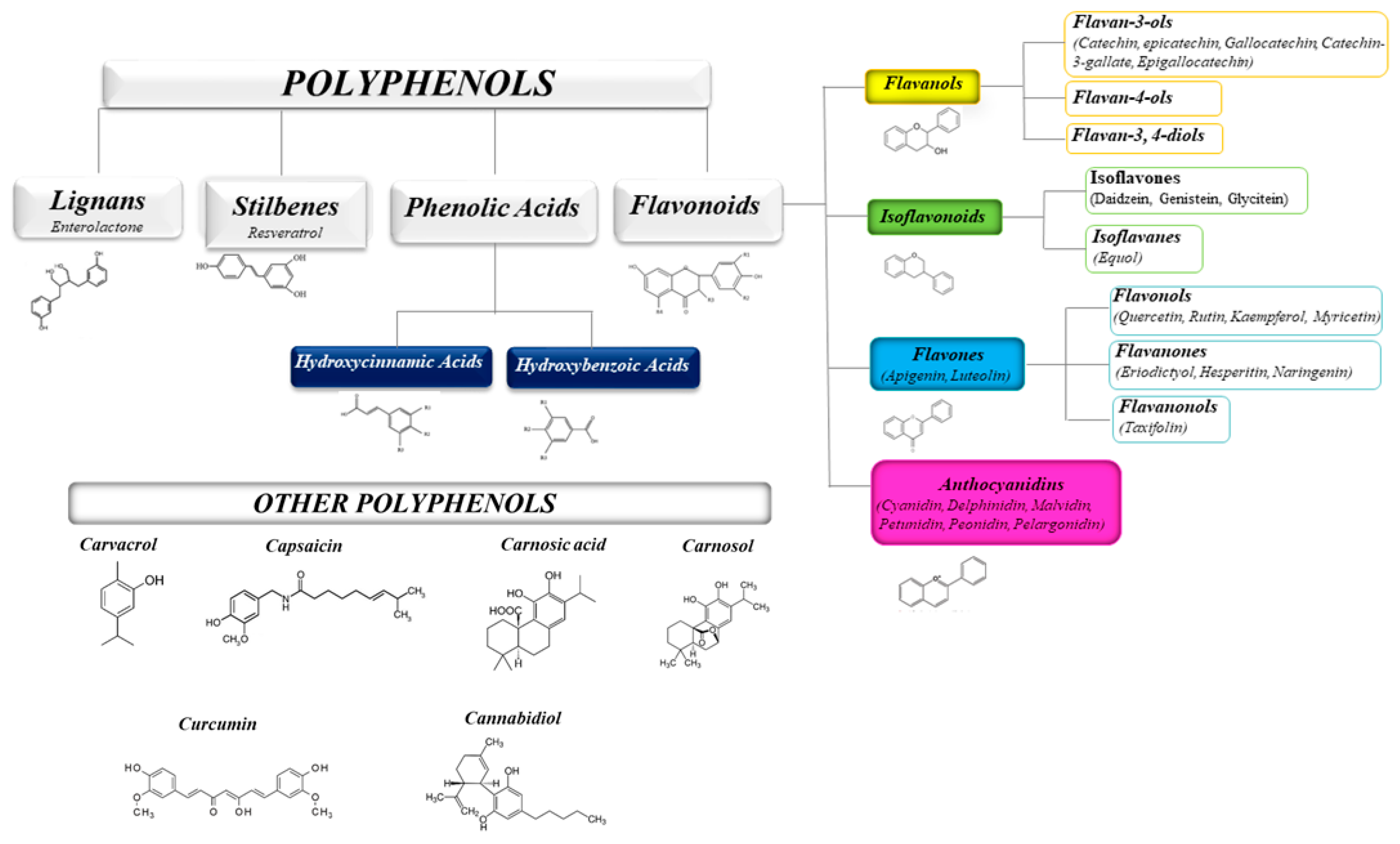 Molecules 25 05888 g001 Molecules 25 05888 g001