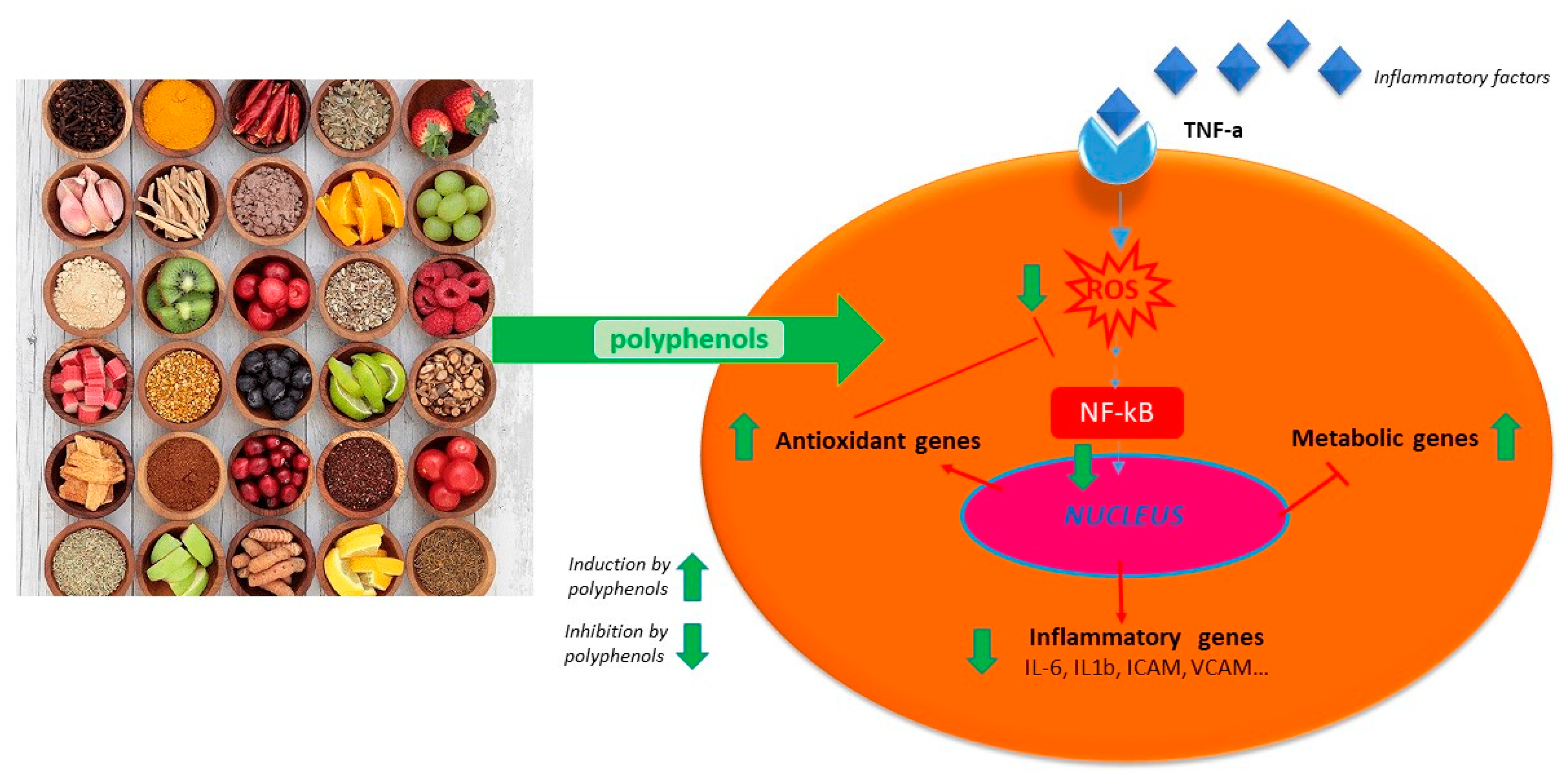 Molecules 25 05888 g002 Molecules 25 05888 g002