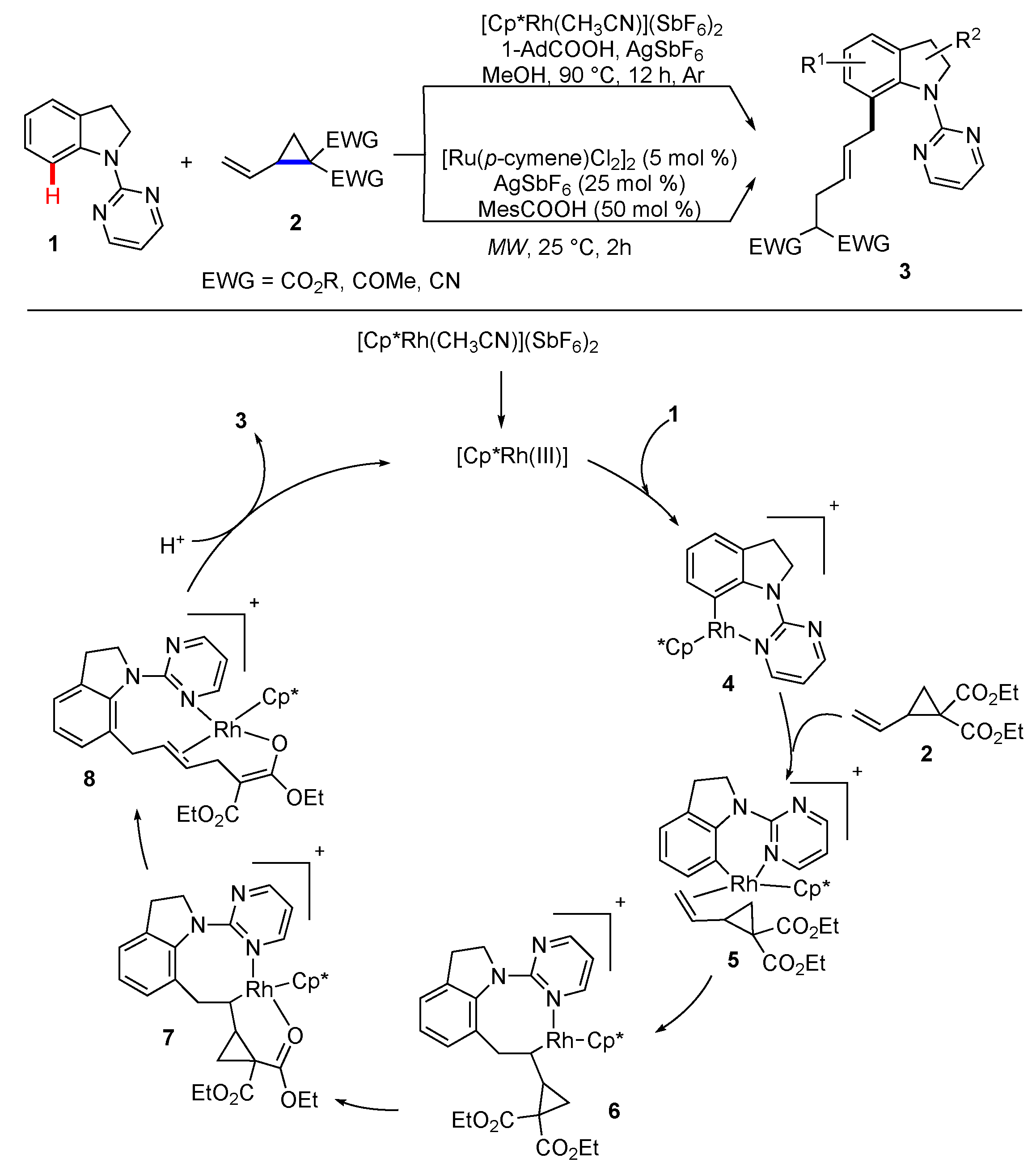 Molecules 25 05900 sch001 Molecules 25 05900 sch001