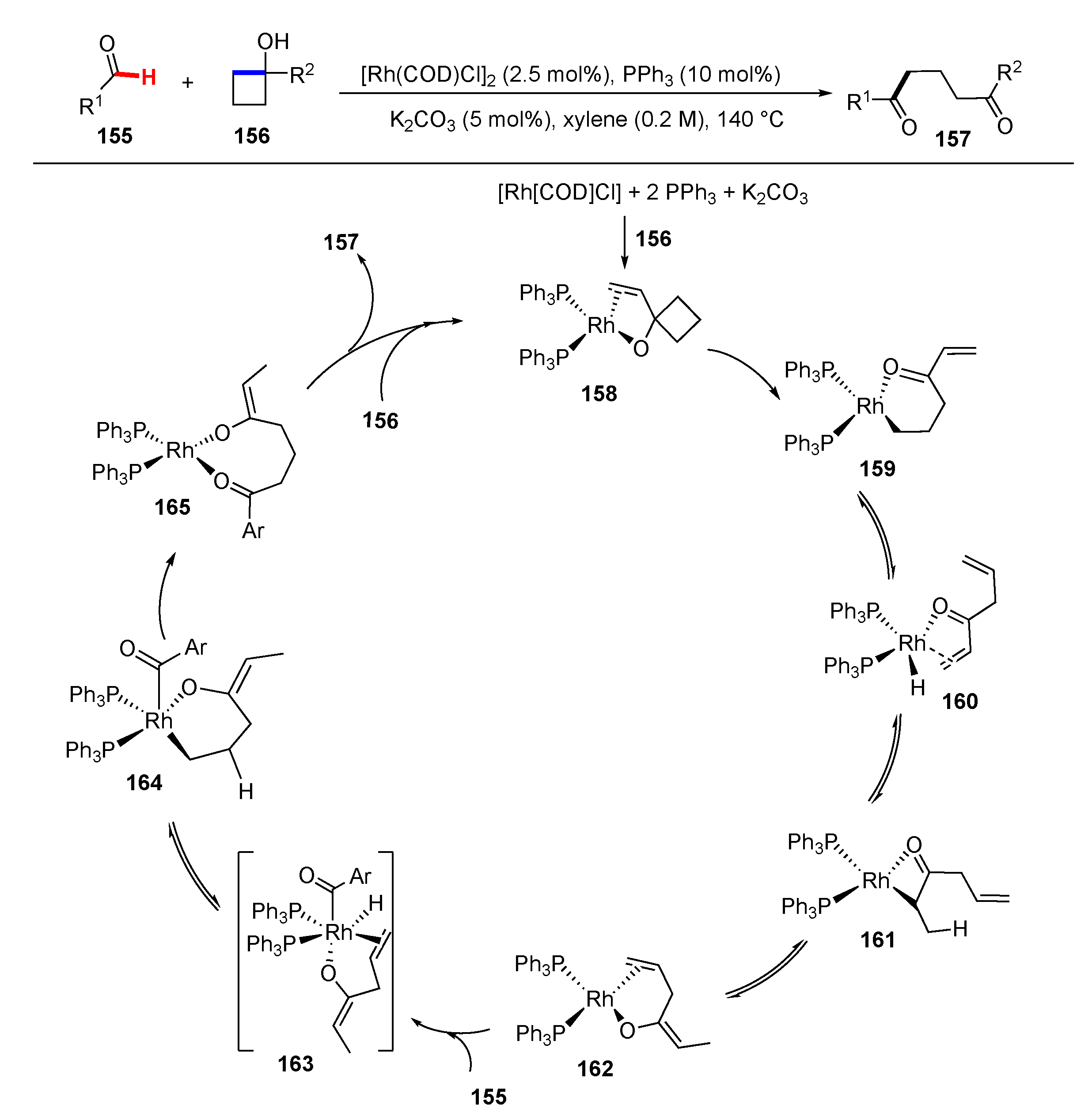 Molecules 25 05900 sch019 Molecules 25 05900 sch019