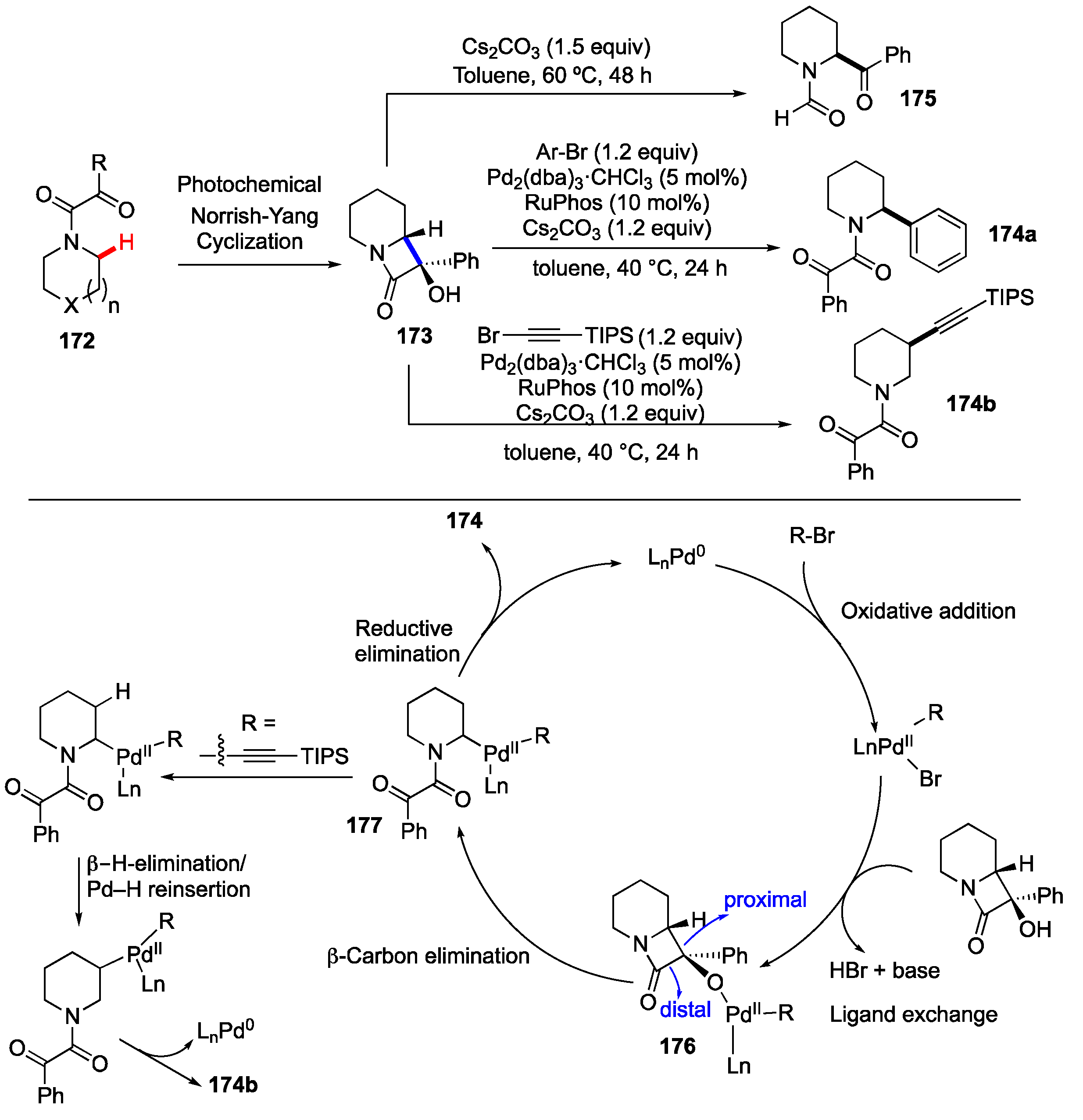 Molecules 25 05900 sch021 Molecules 25 05900 sch021