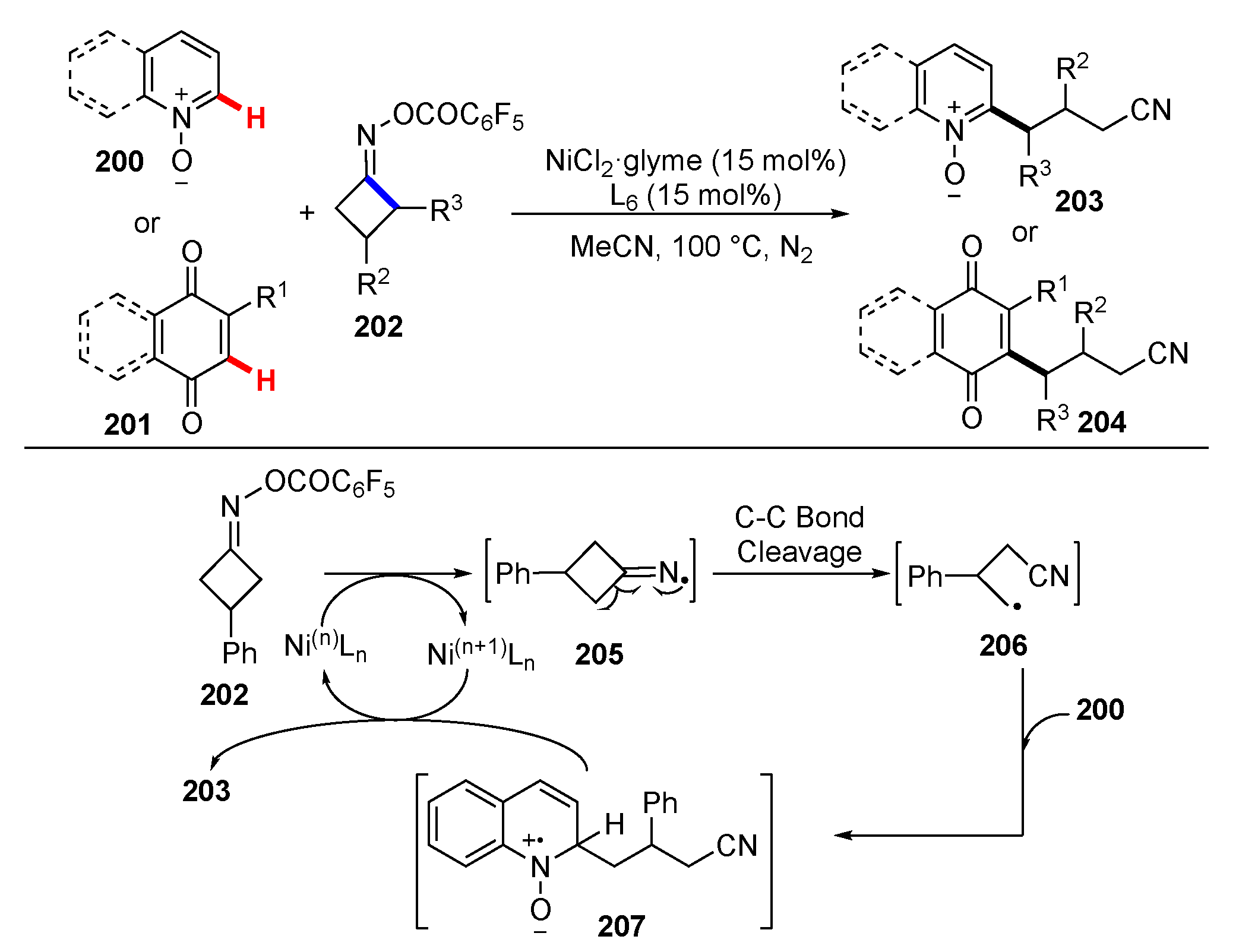 Molecules 25 05900 sch025 Molecules 25 05900 sch025